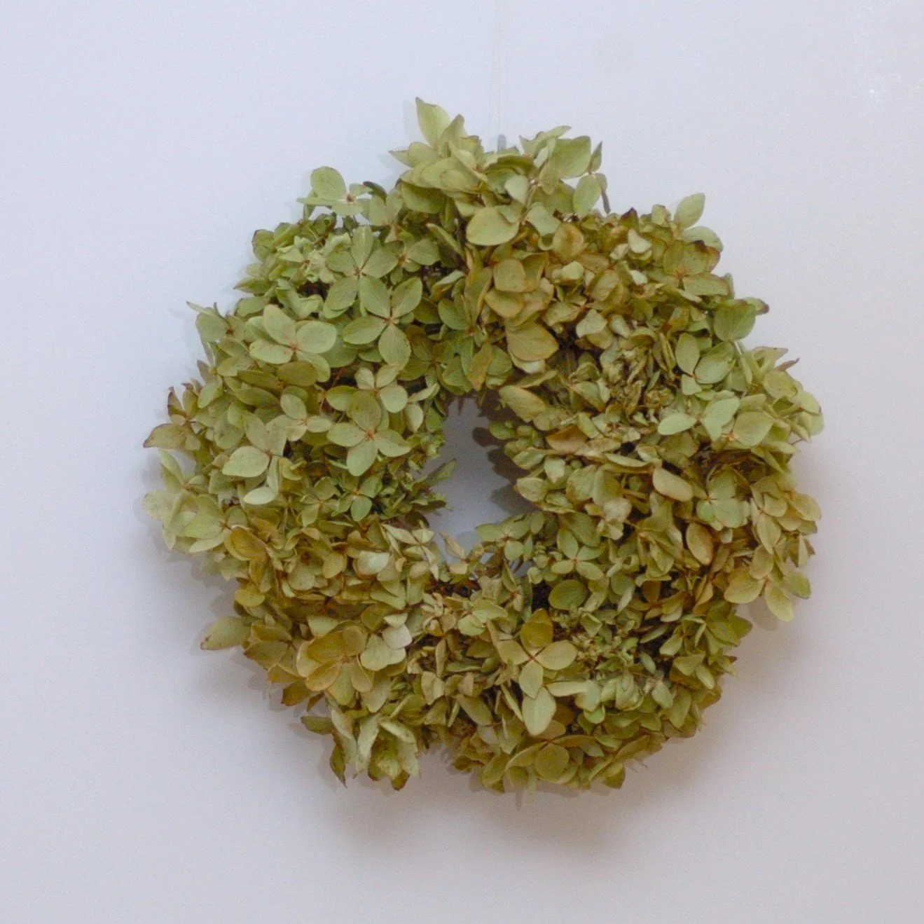 Hydrangea Wreath