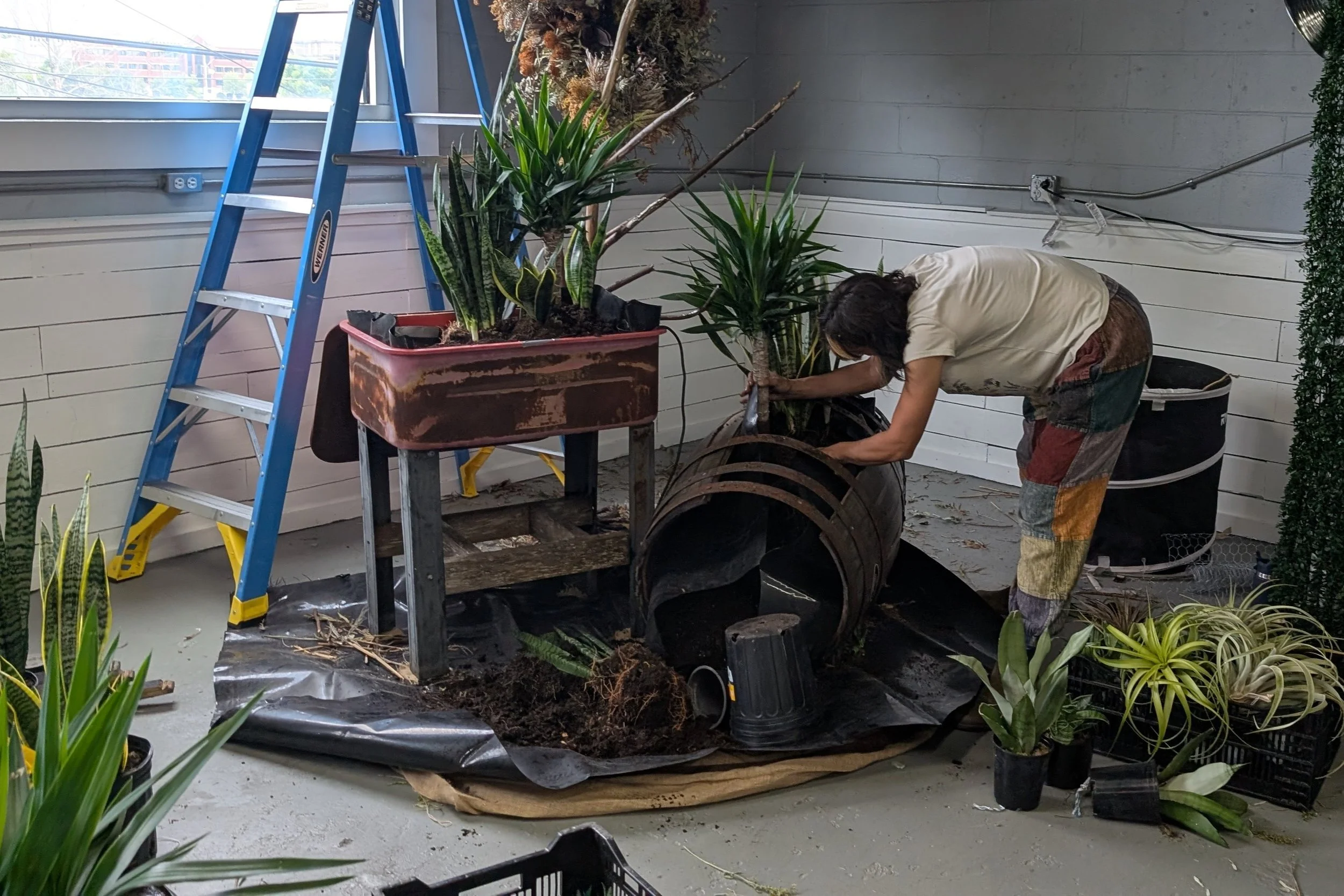 Adding  the living plants! 
