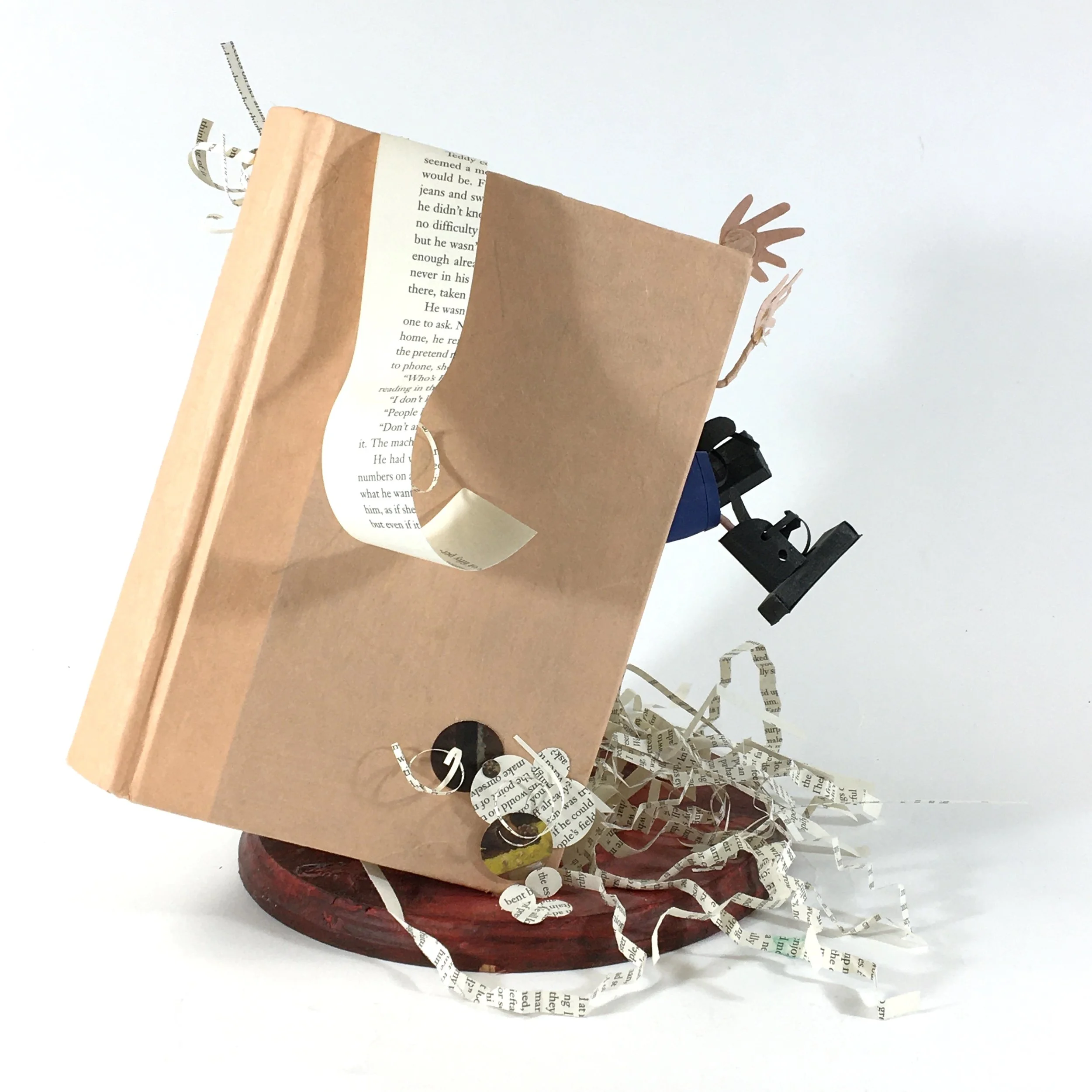The Book - 2 IMG-5307.JPG