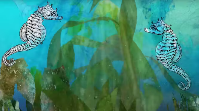 Beginner After Effects 