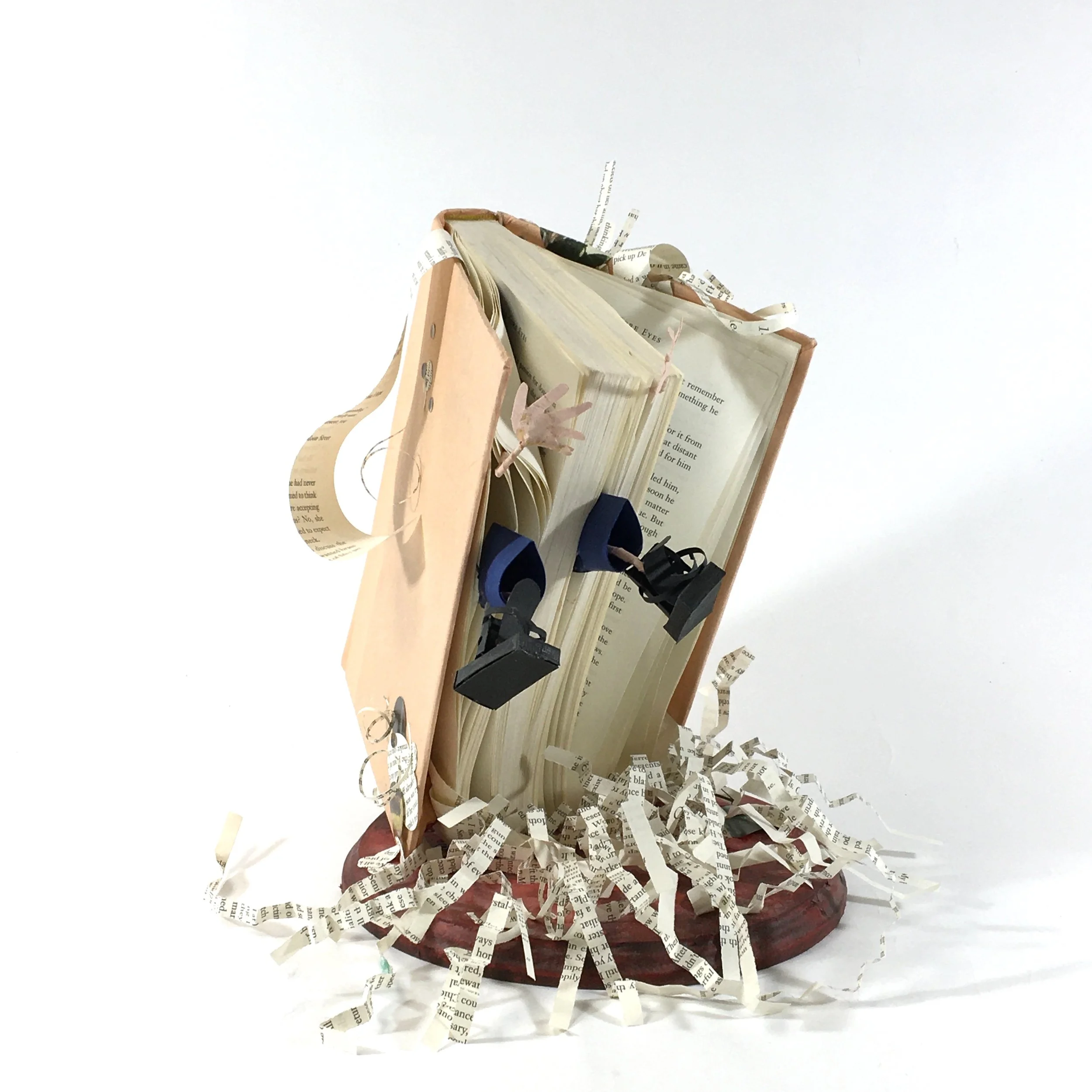The Book - 3 IMG-5306.JPG