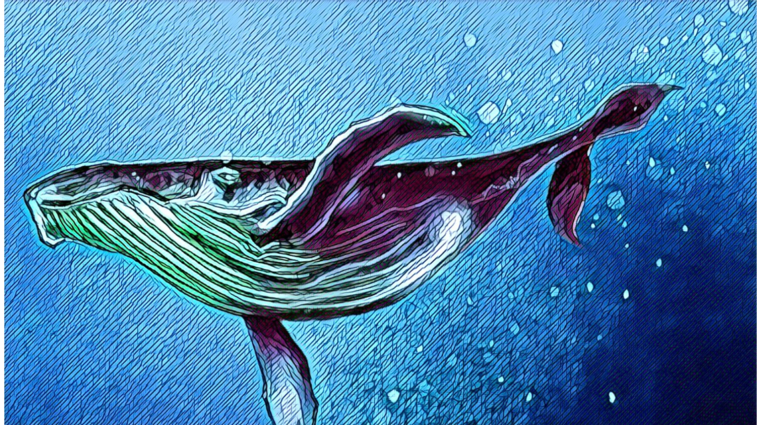 Whale-CANVA-edited-prisma-camelcade-1536x864.png