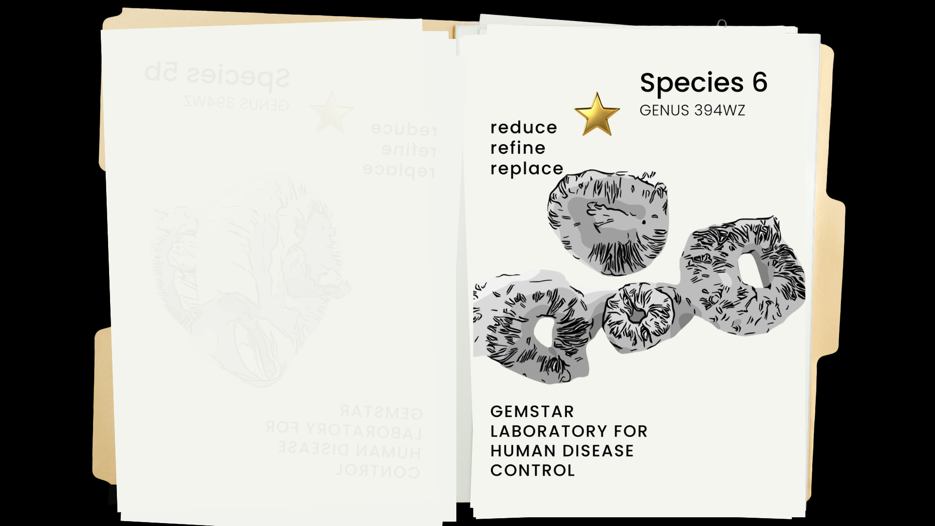 file folder with a diagram of species 6 creature