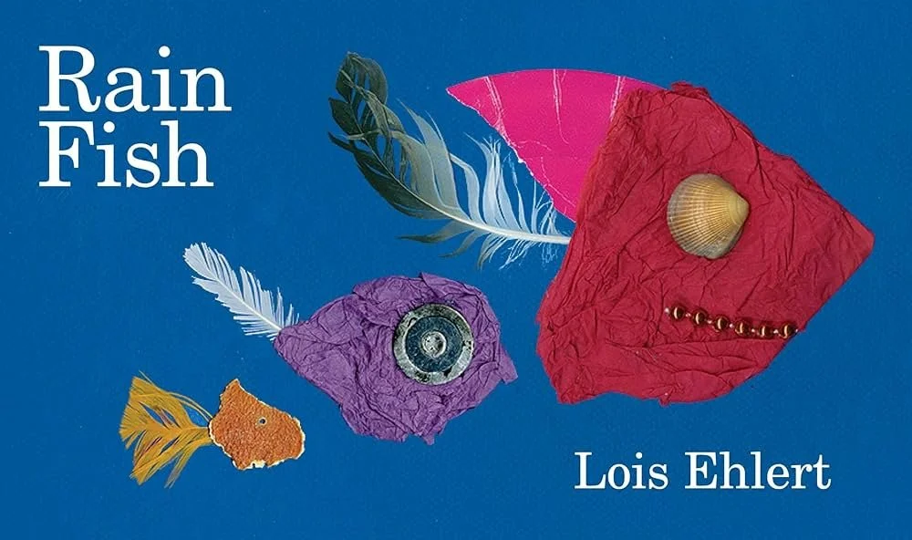 Rain Fish - FSWCD - Summer Reading Challenge 