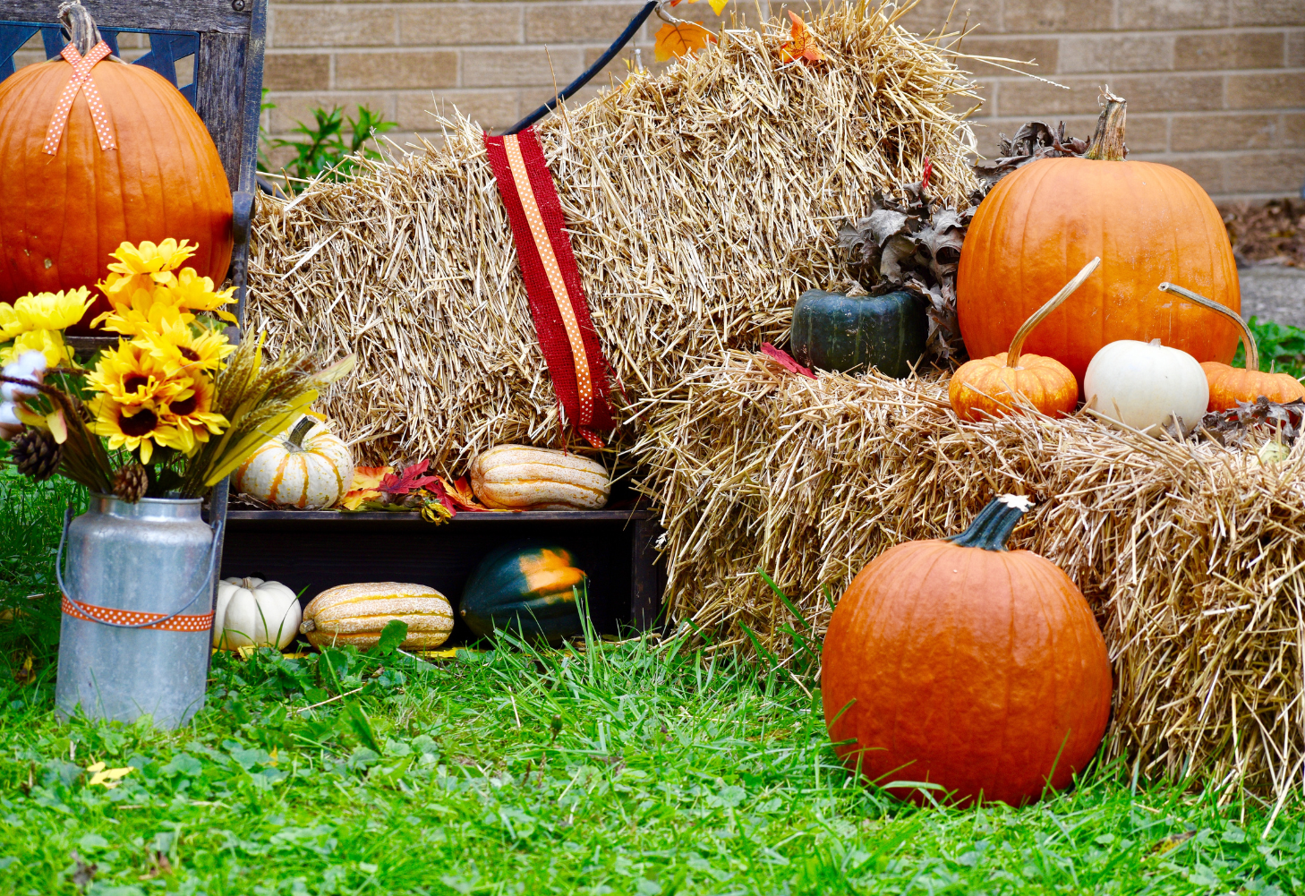 Vista Village Fall Fest