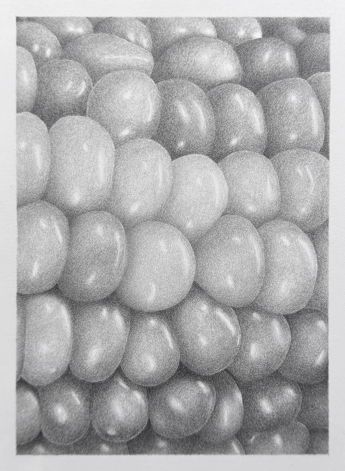 Corn, 2026. Graphite on paper, 7 x 5 inches. $300