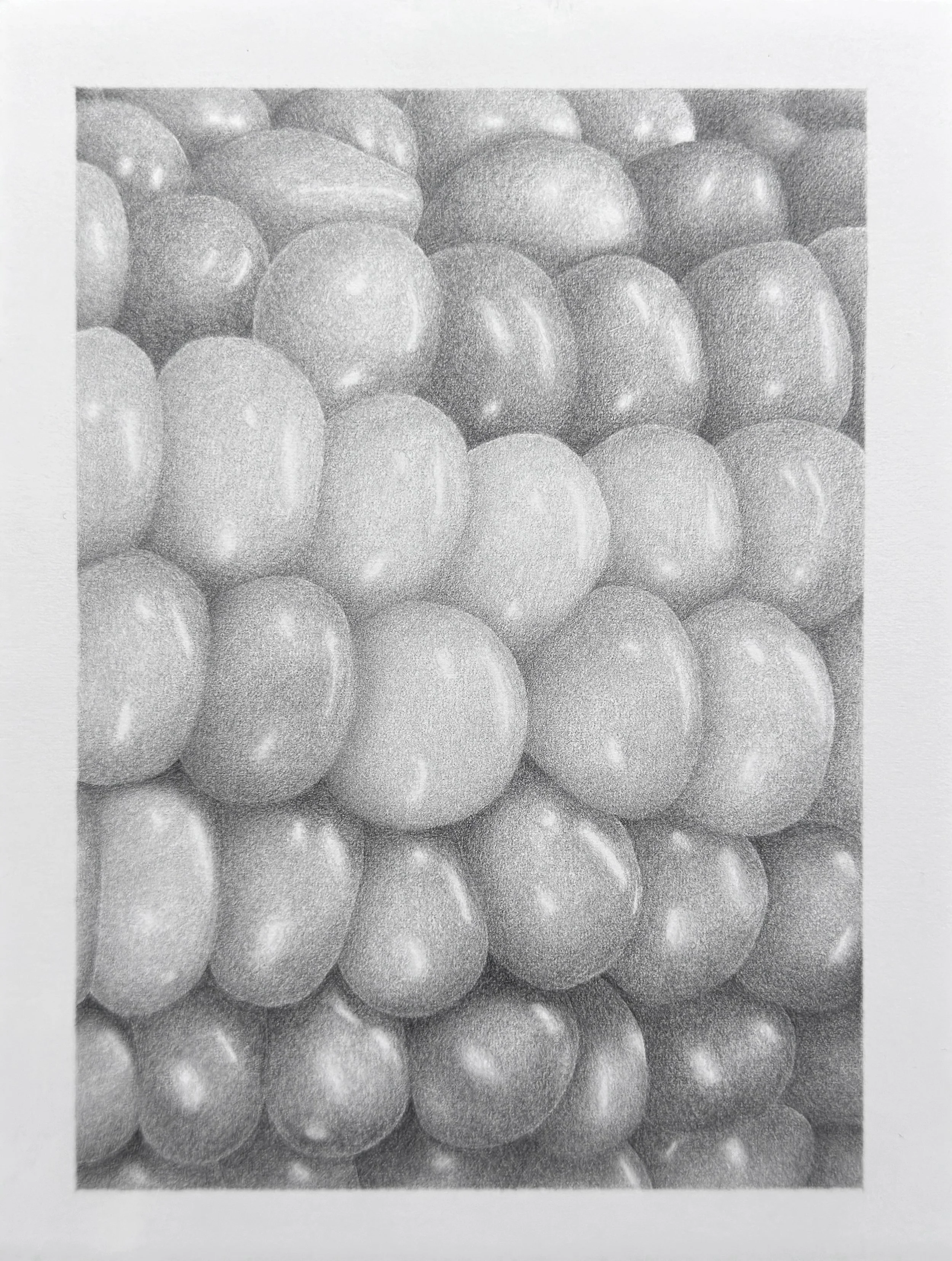 Corn, 2026. Graphite on paper, 7 x 5 inches. $300