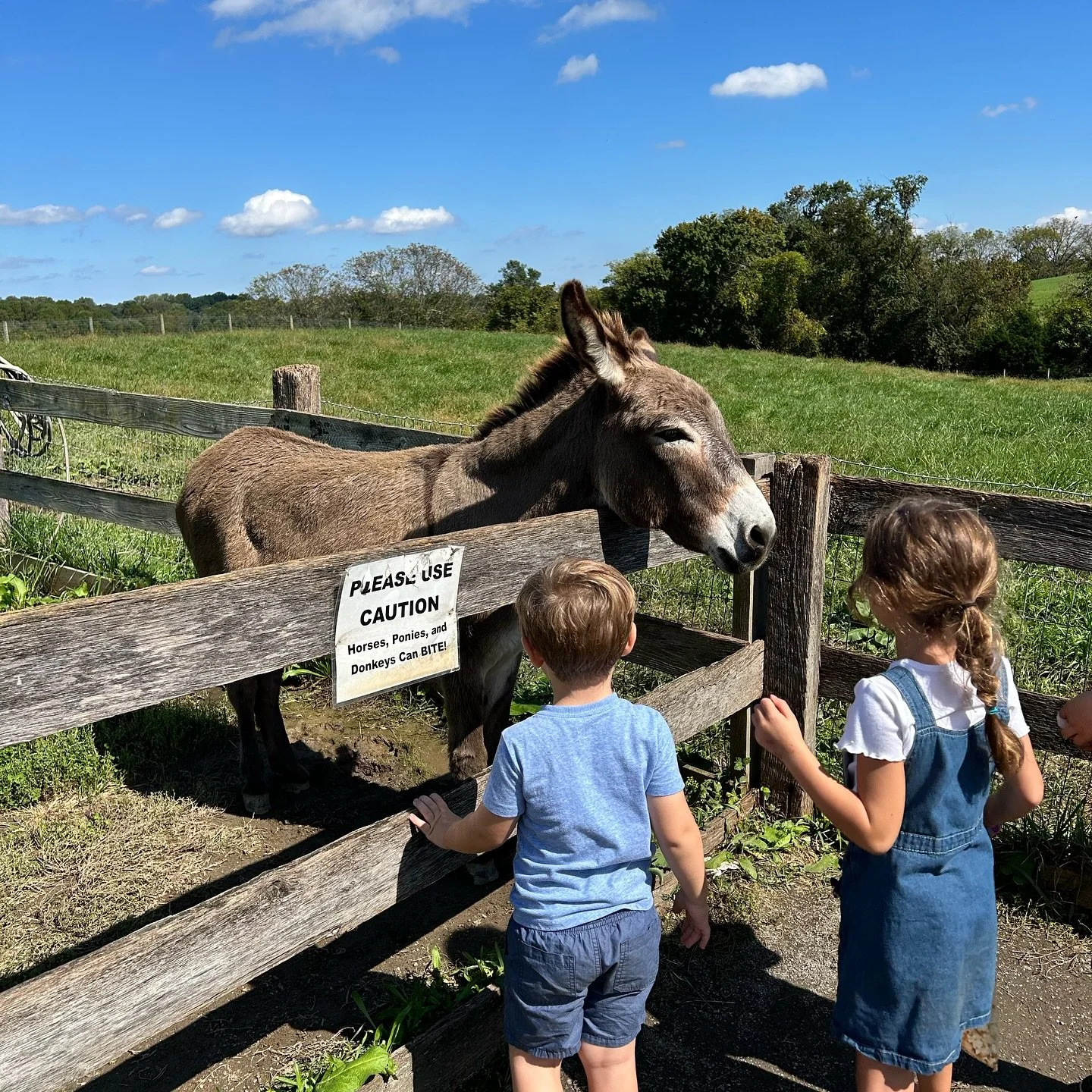 from the hurricane evacuation files 🌪️🗂️

🩷met baby Emery &amp; quality time w my girls @kfitz320 @amanda_males 
🍎picked apples &amp; watched baby Michael throw many on the ground 
🧚🏻&zwj;♀️explored fairy forests with my niece &amp; nephews 
🏓