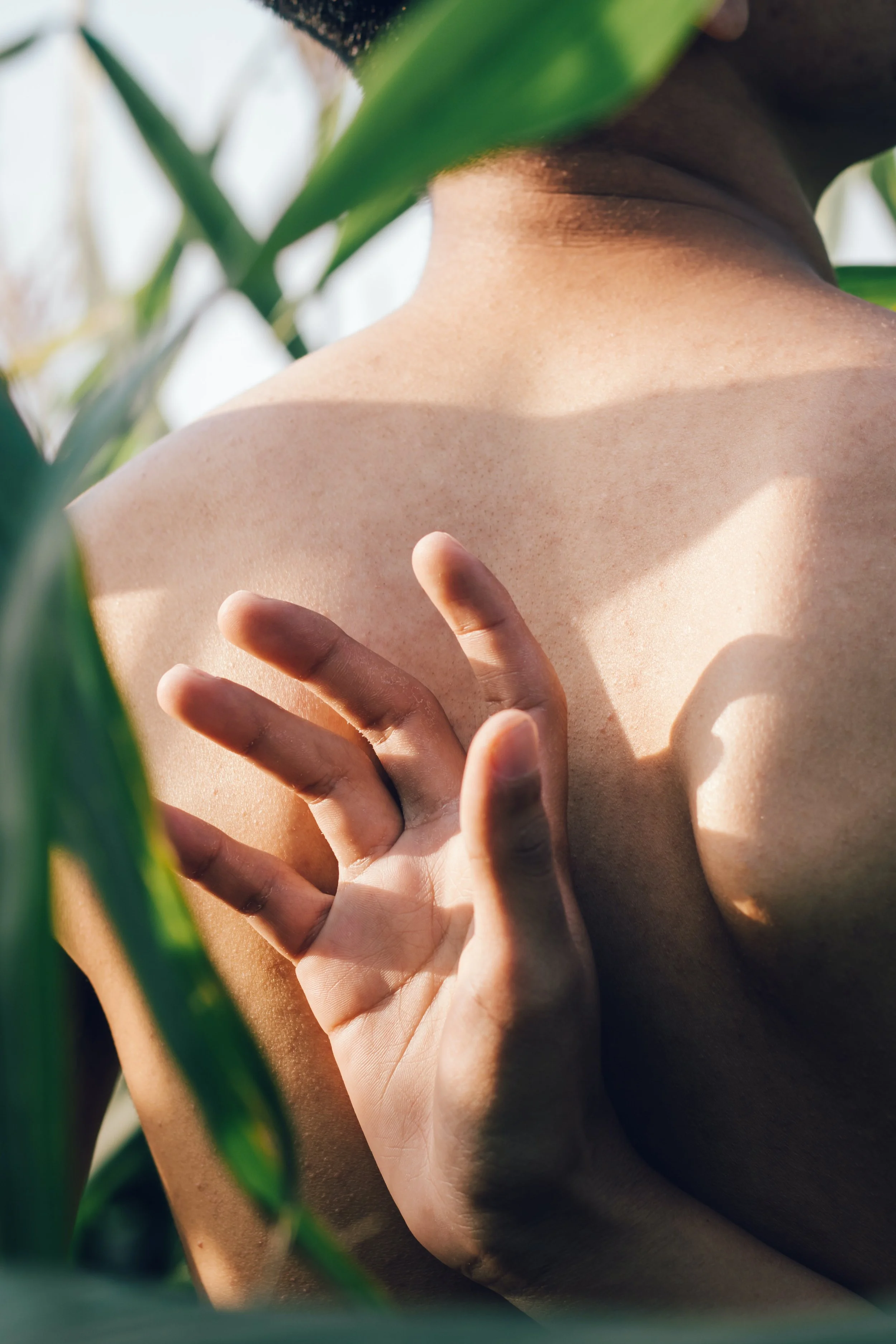 pexels-spring-toan-5602001.jpg