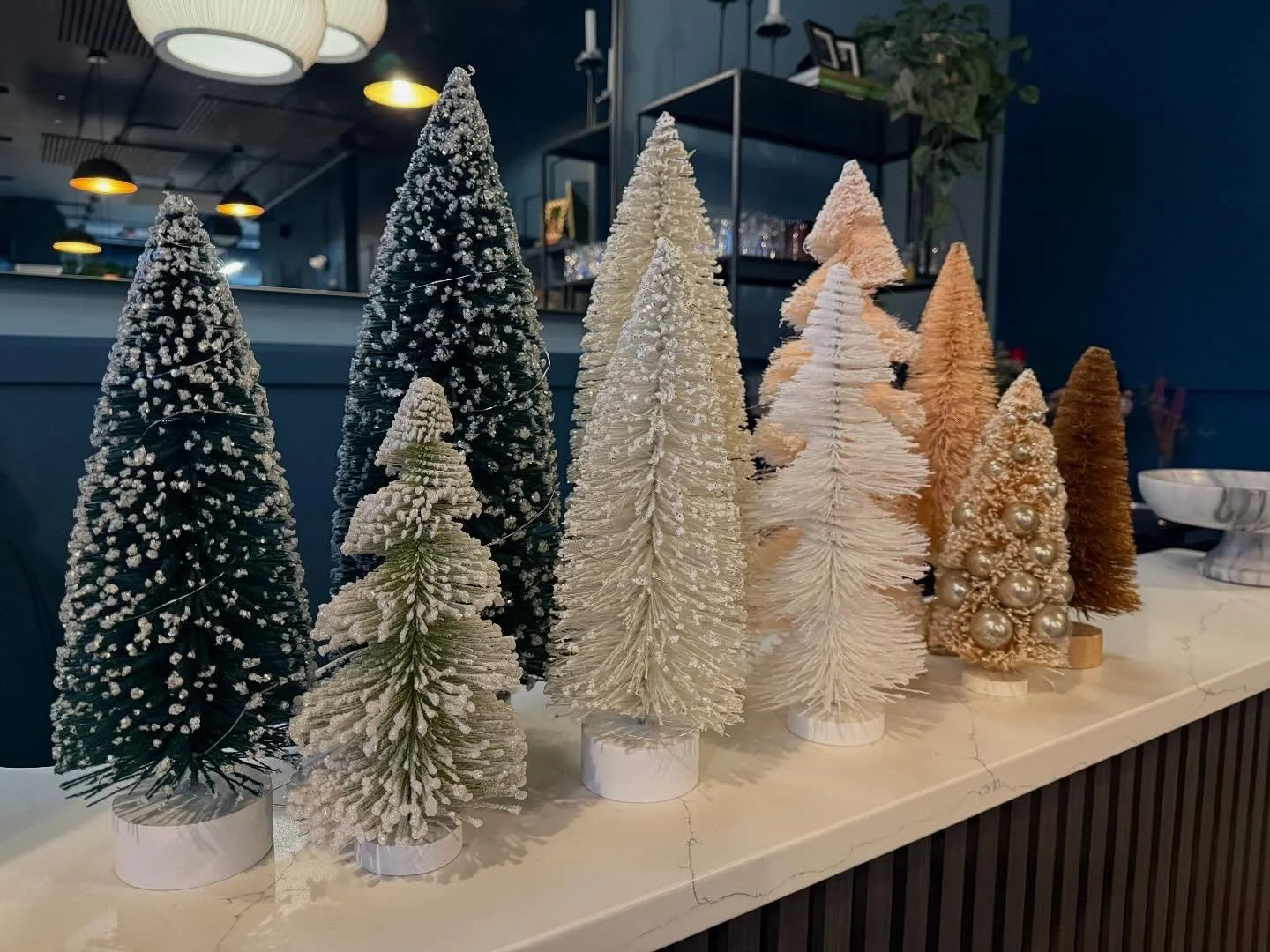 The holidays may be over, and we are getting the decorations packed away, but that doesn&rsquo;t mean the celebration has to end. We&rsquo;ve got some fun dinners planned that you won&rsquo;t want to miss, including one with our brilliant friend, @jo