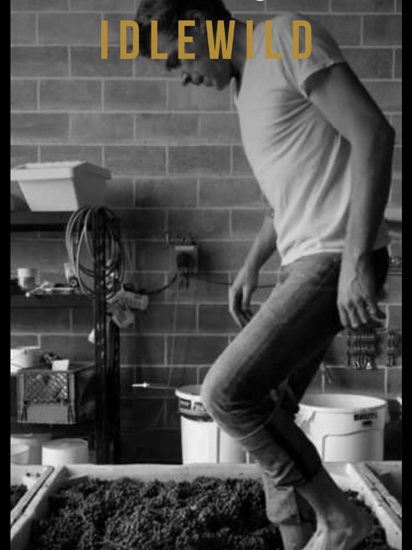 Mark your calendars, friends! February 11th we will be having our first wine dinner featuring the exceptionally balanced, beautiful  @idlewildwines, brought to us by the lovely team @cuttingedgeselections. Join us, and charismatic founder, managing p