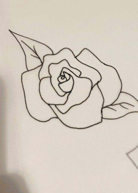 Untitled design (14).gif