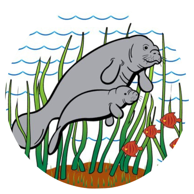 birthdays-tommie-barfield