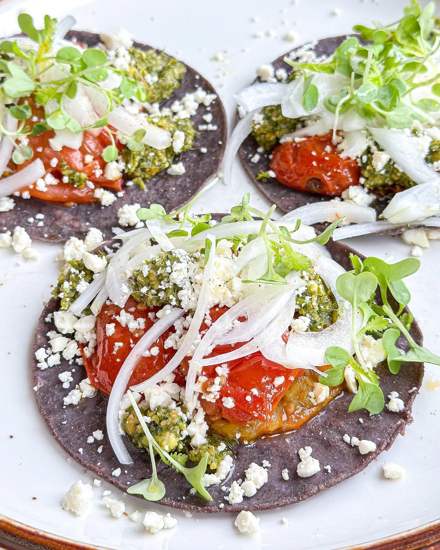 Tacos garnished with shaved onion, queso fresco, and microgreens on blue corn tortillas from Vida Cantina catering in Portsmouth NH