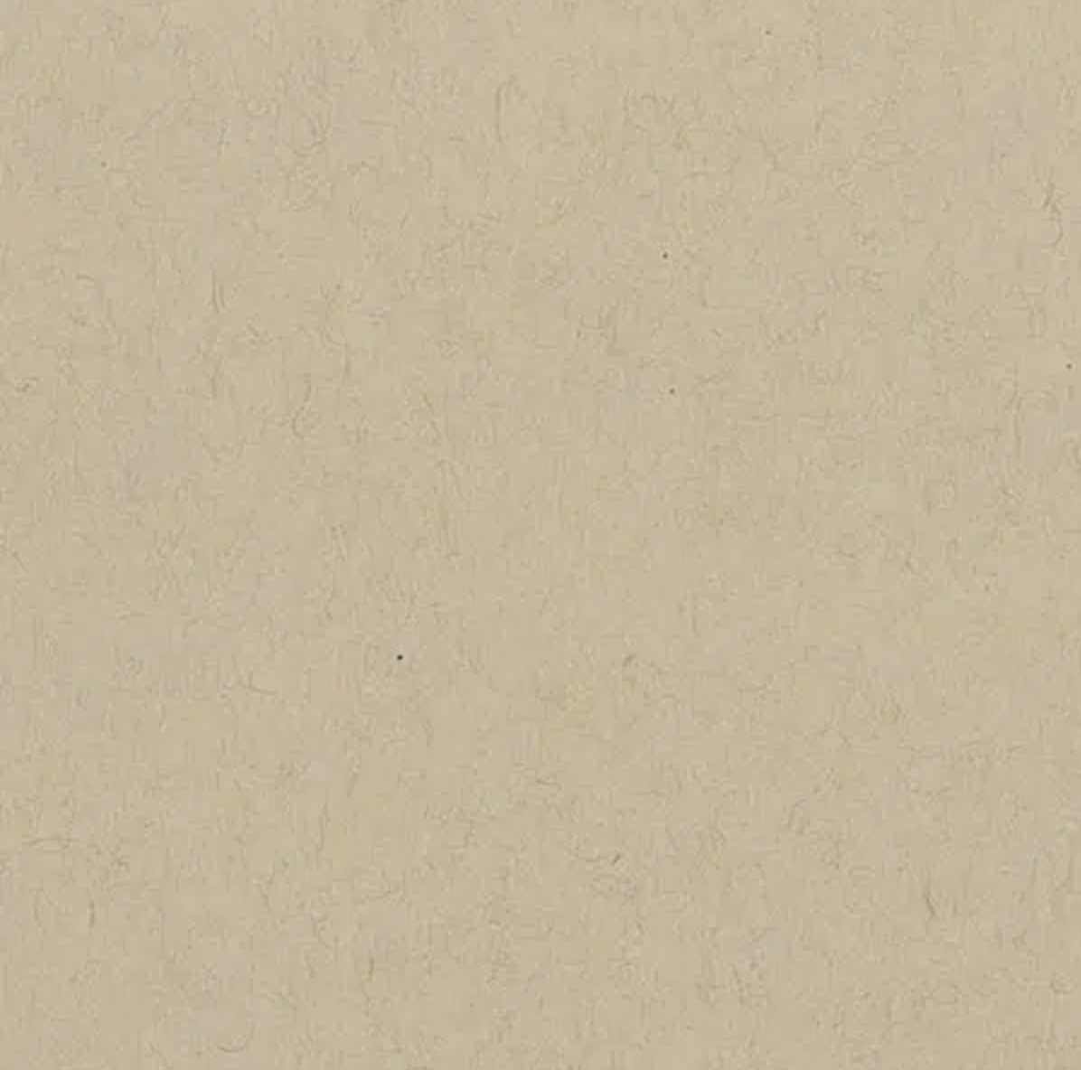 Toned Tan Paper