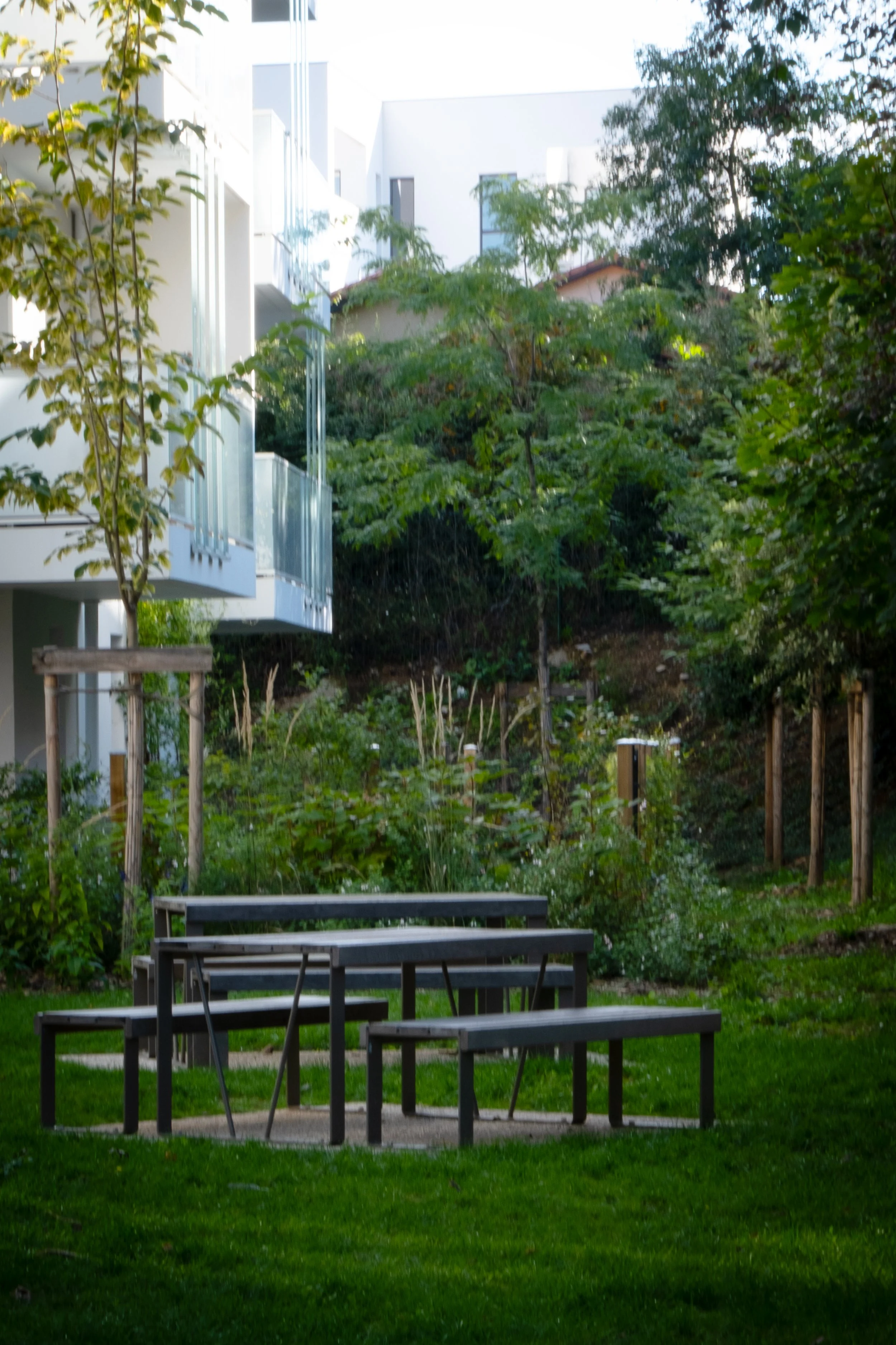 IsadeBoiscuilleDSCF0070.jpg