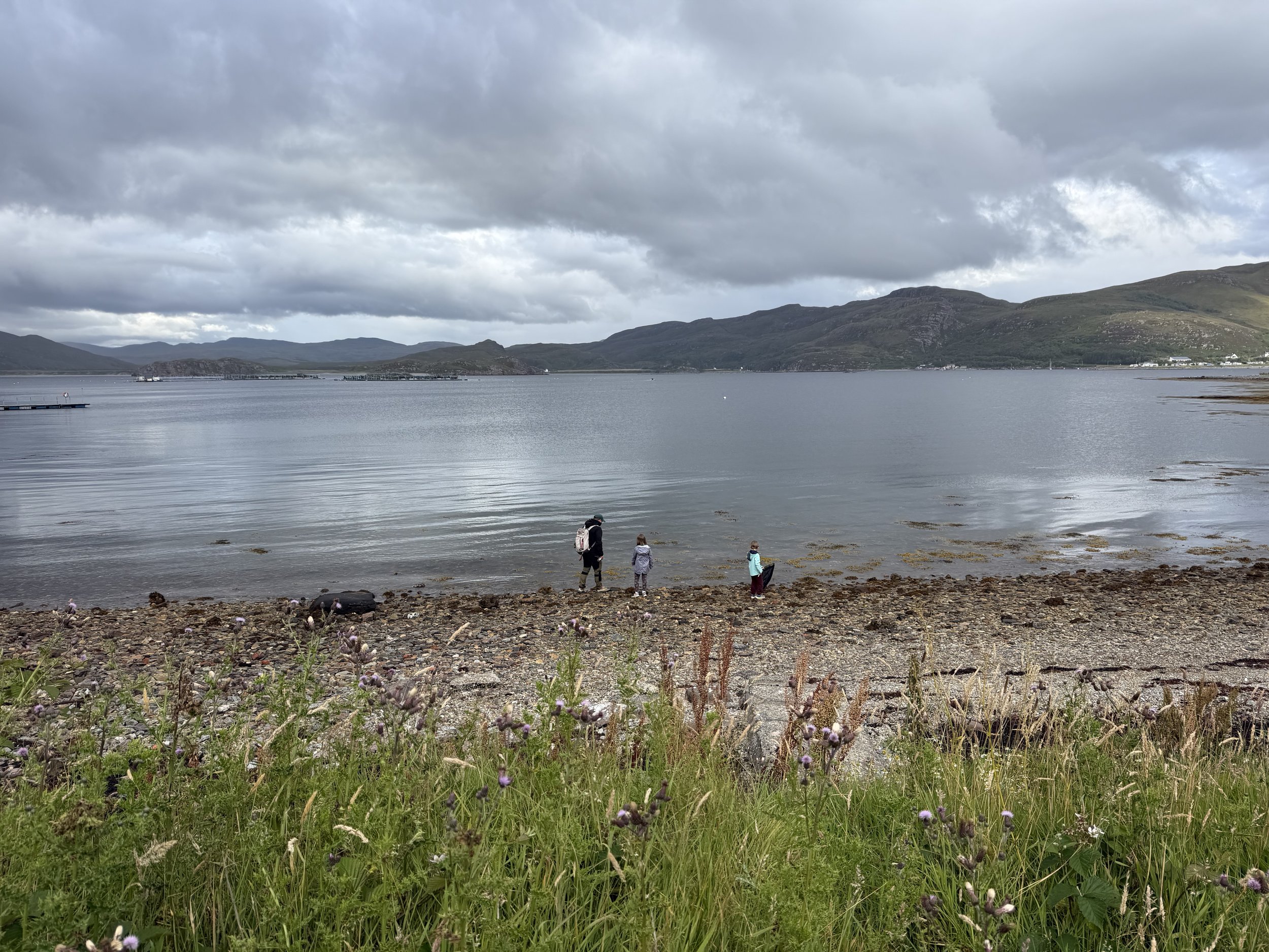 Isle Martin Bio Blitz 2026