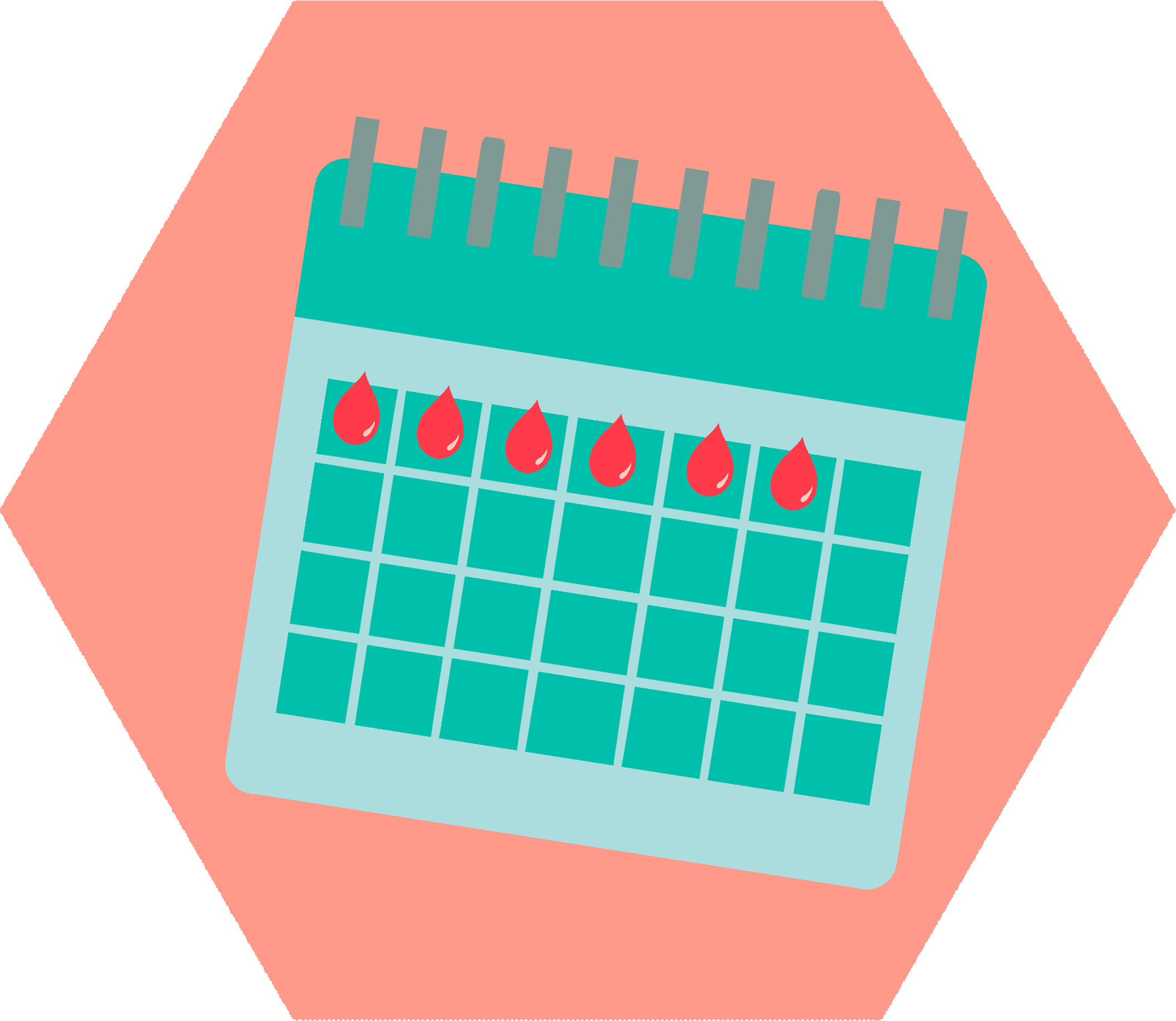 HEXAGON - CALANDER.png