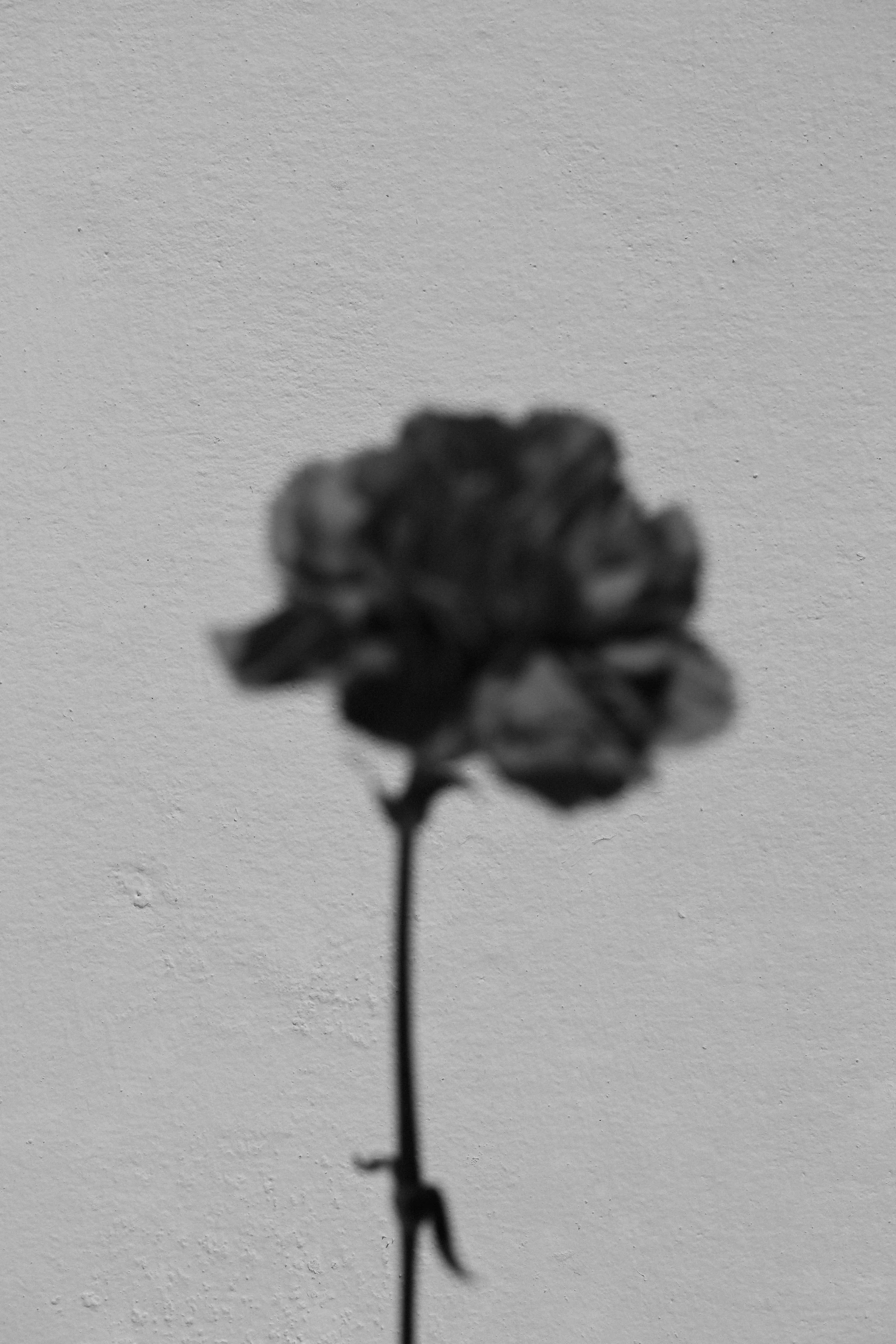 elevae_042511239.jpg