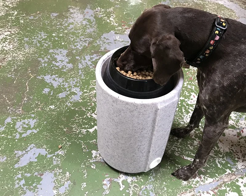 FEEDER-Dog-2.jpg