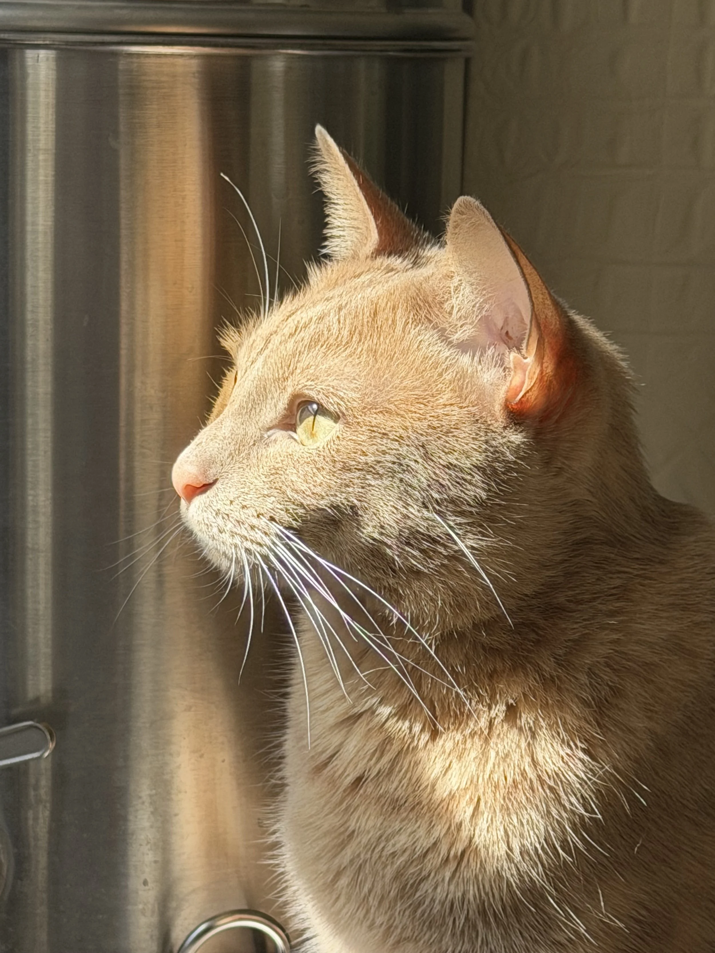 Separating Your Worth from Your Work