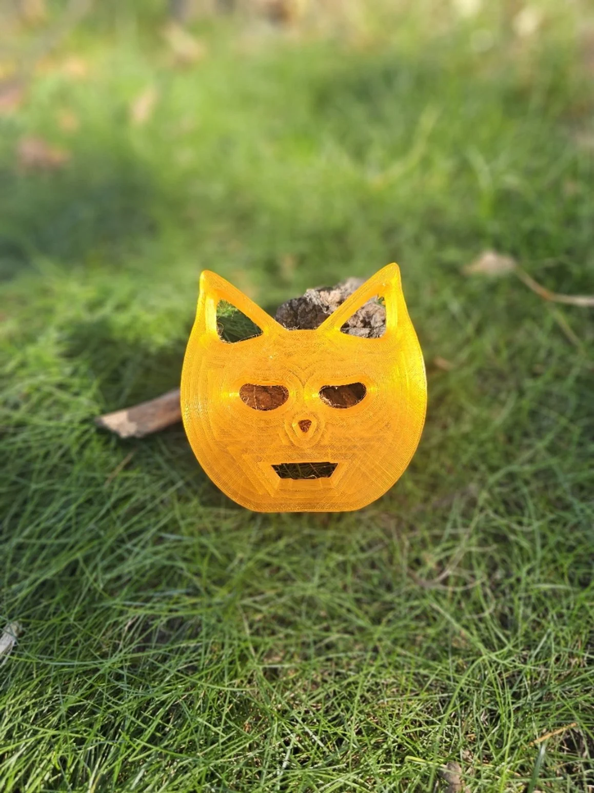Pumpkin Kitty Grip