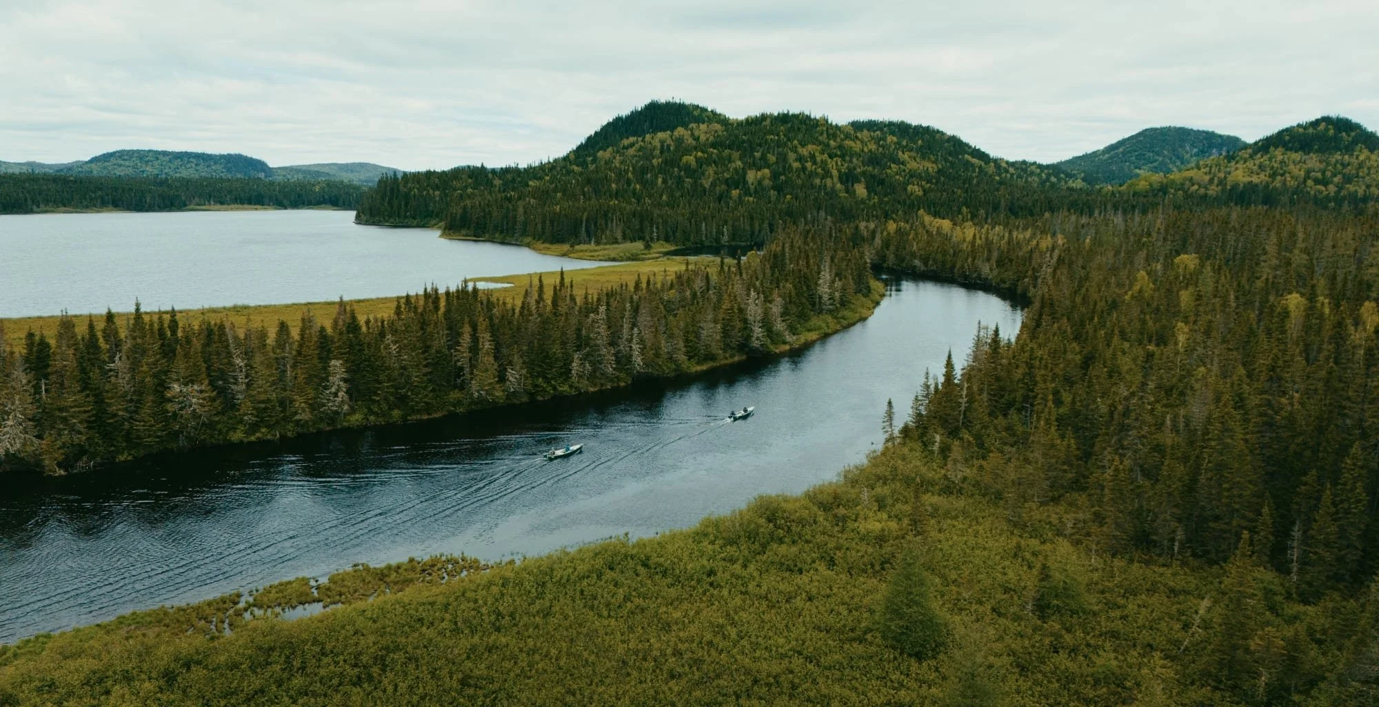 Une rivière serpente à travers une forêt dense de conifères, avec des montagnes en arrière-plan et deux bateaux naviguant sur l'eau.