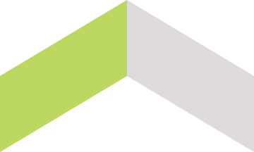 Deux rubans ou bandes de couleur verte et blanche disposés en V