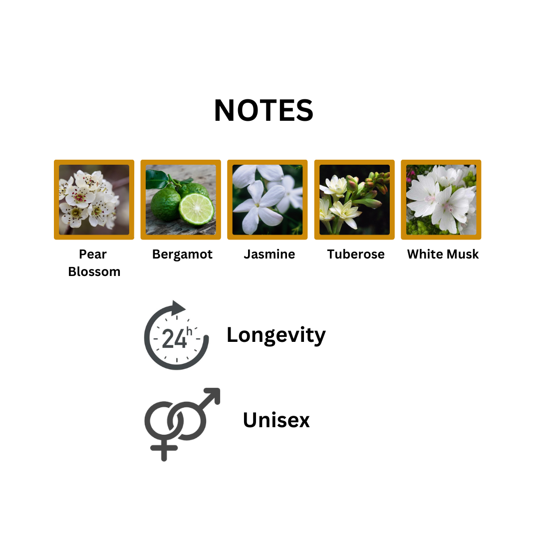 Jasmine Musk.png