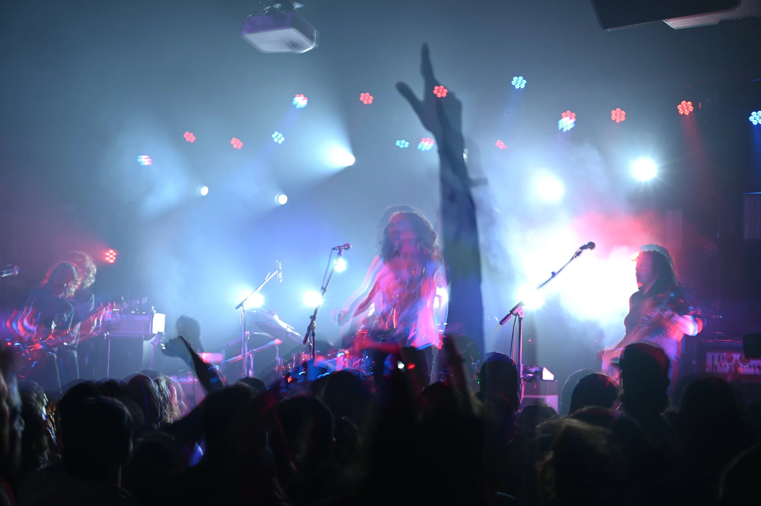 Pigeons Playing Ping-Pong 04/07/23