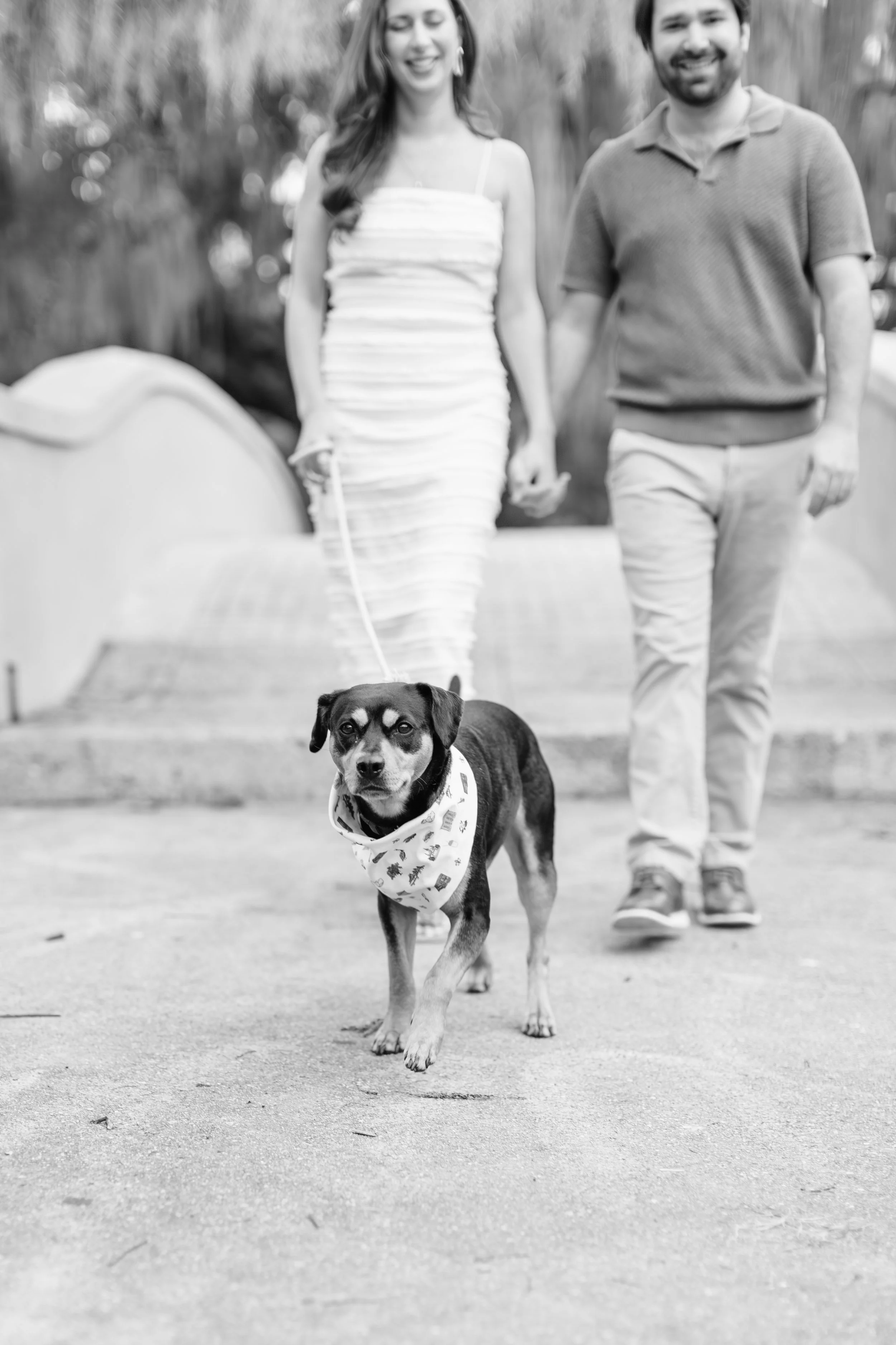 victoria and patrick’s new orleans city park engagement photos with their dog, baton rouge wedding photography