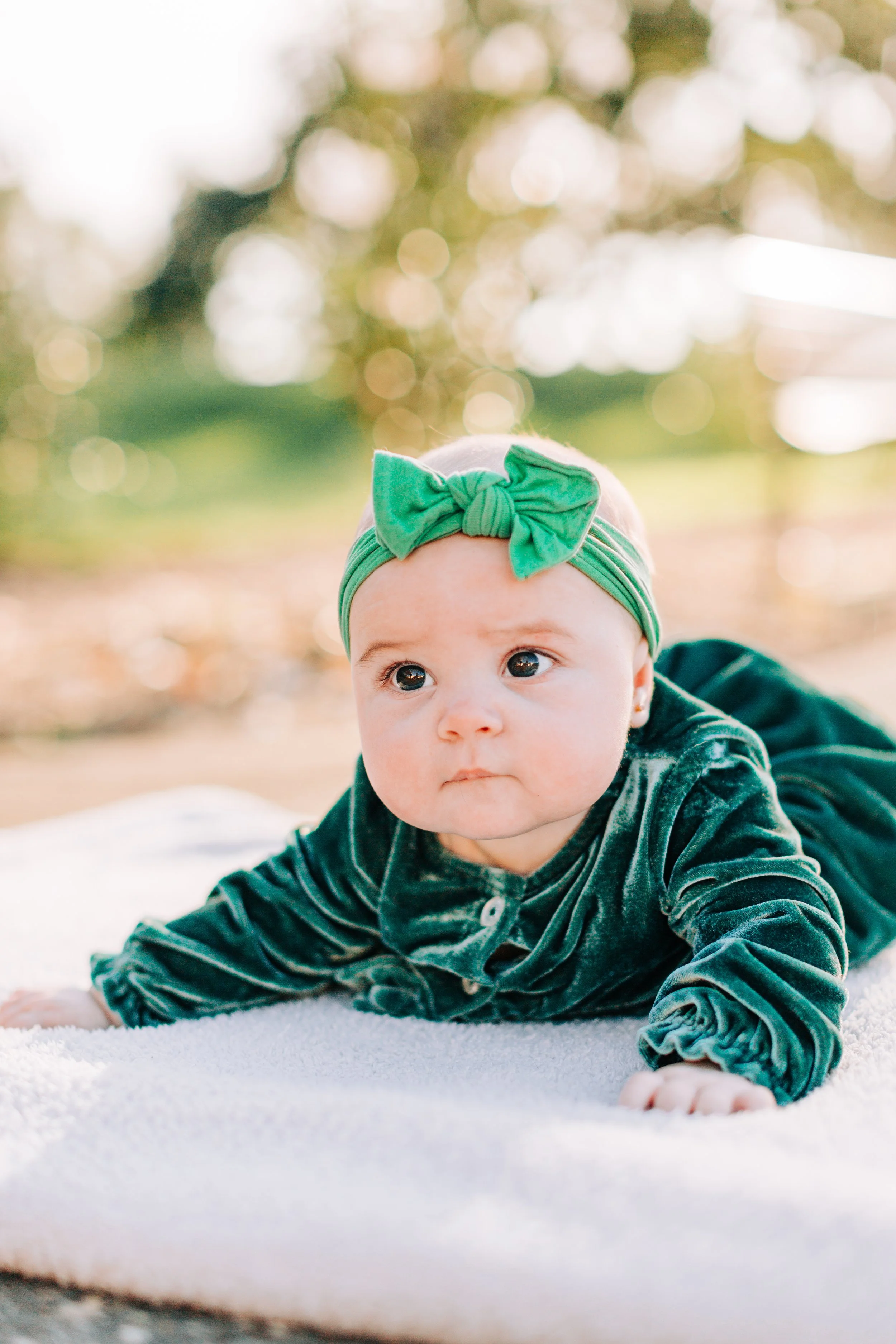baton rouge family portraits, fall family portraits, baton rouge photographers, baton rouge family portrait photographers, sarah shaw photography, city park baton rouge