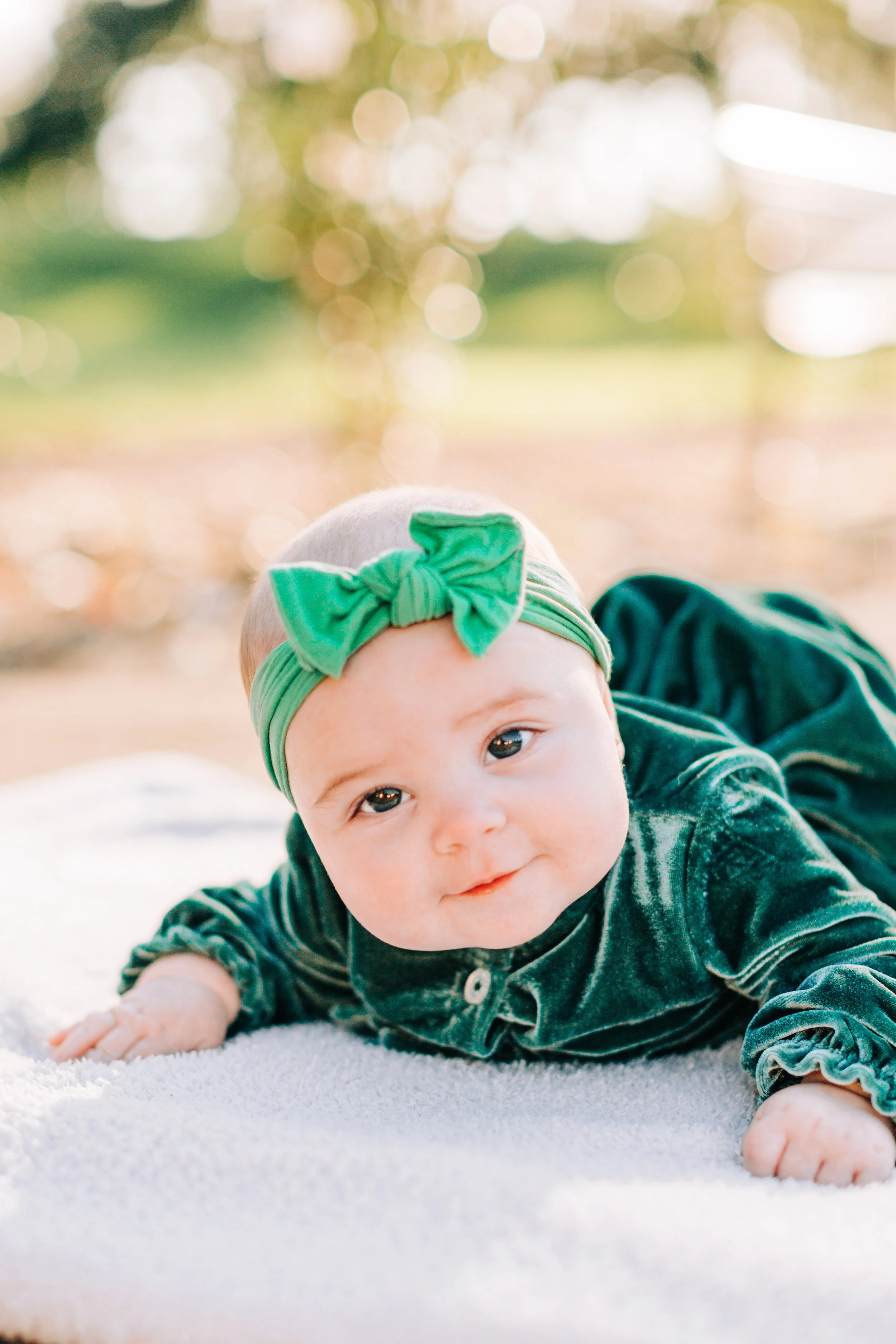 baton rouge family portraits, fall family portraits, baton rouge photographers, baton rouge family portrait photographers, sarah shaw photography, city park baton rouge