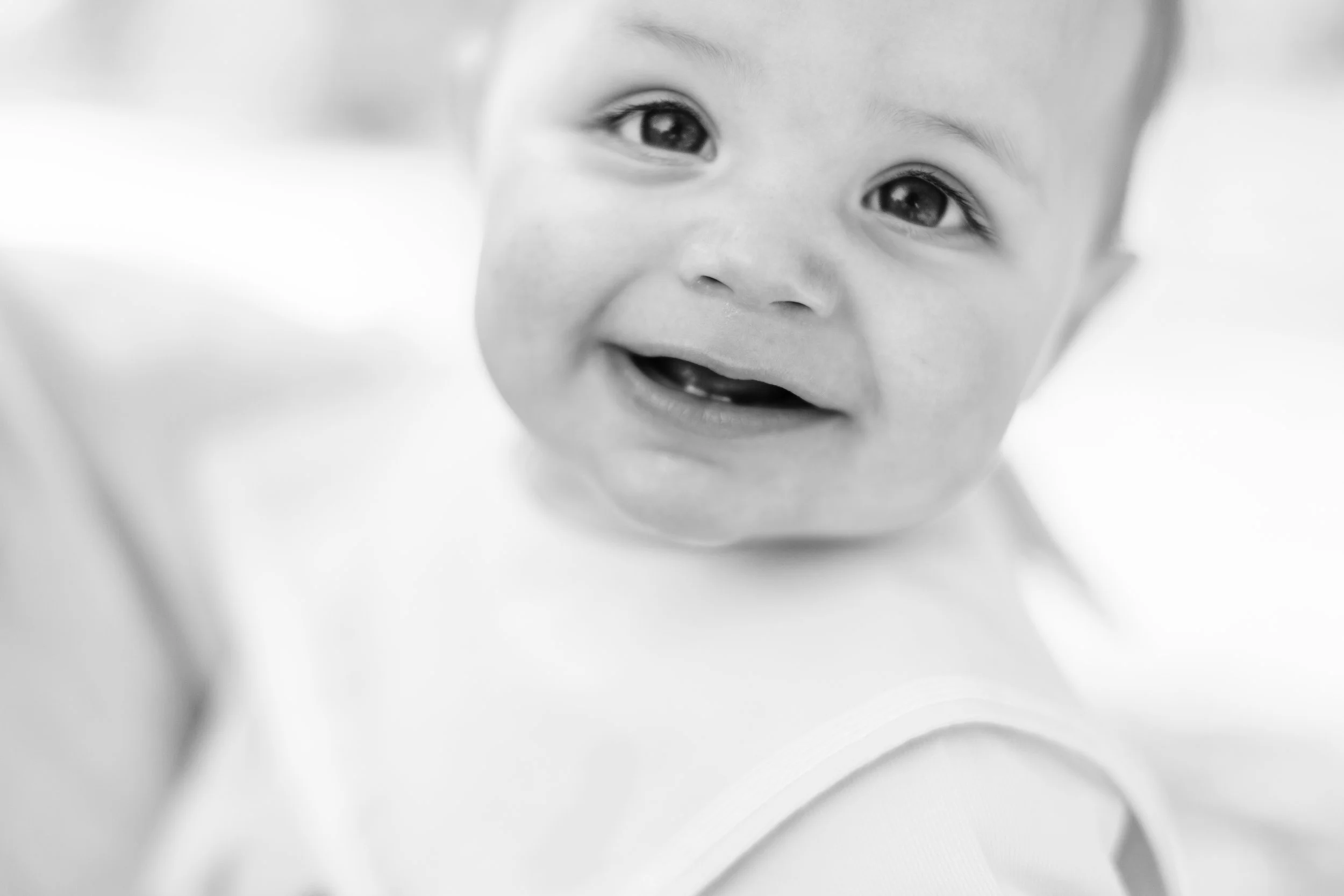 Graham’s 6 month milestone portraits at new orleans city park, new orleans childrens photography, new orleans family portraits, city park family portraits, mossy family portraits