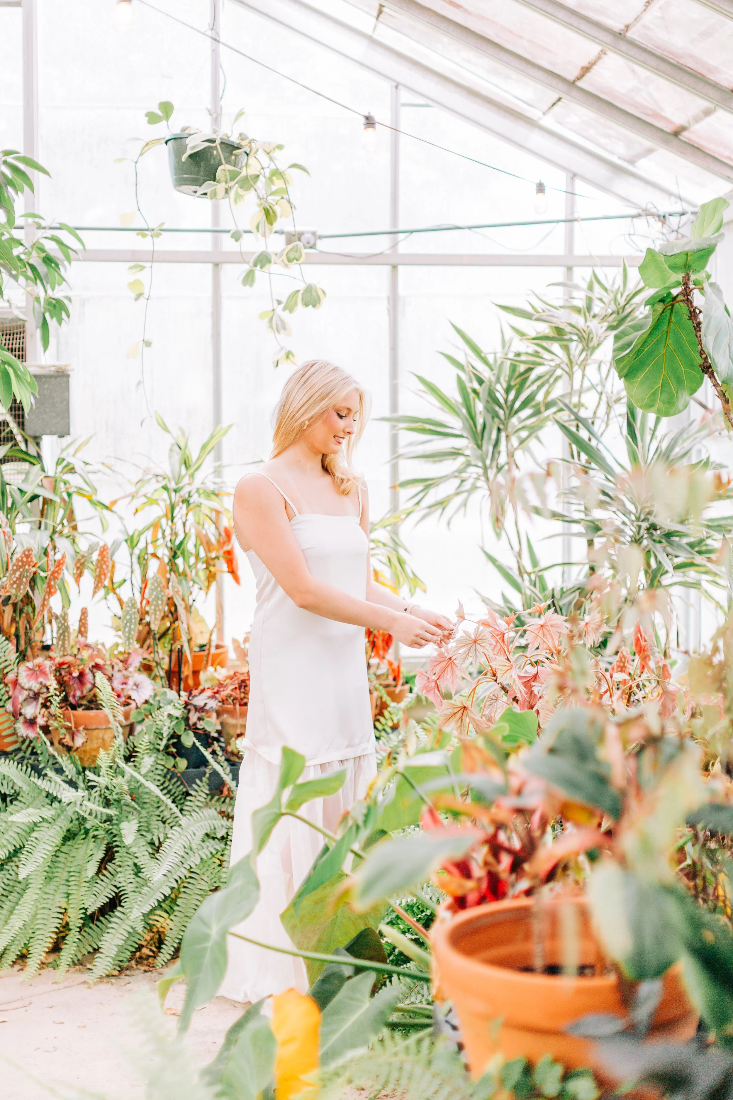 baton-rouge-senior-pictures-greenhouse-burden-gardens.jpg