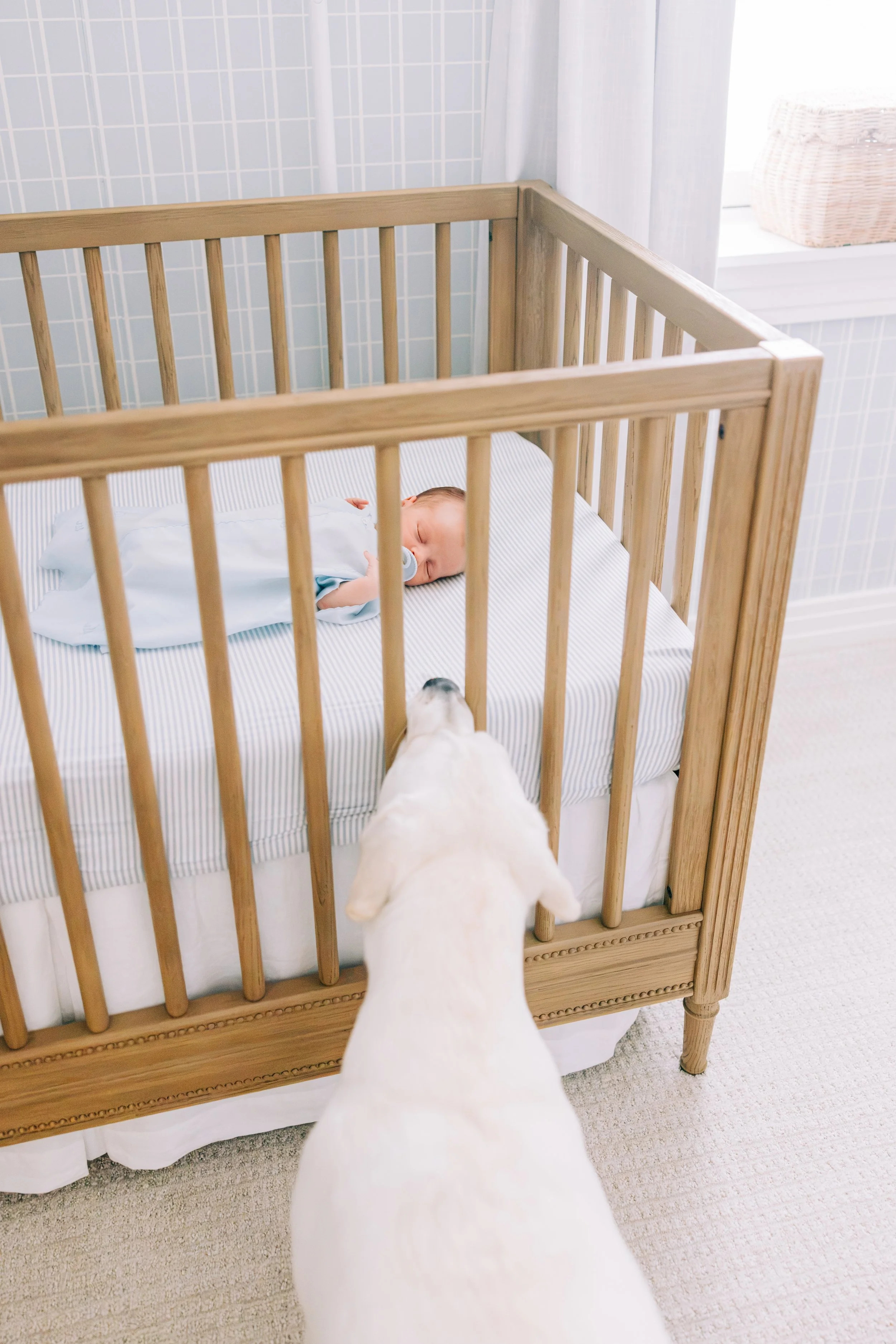 new orleans newborn session