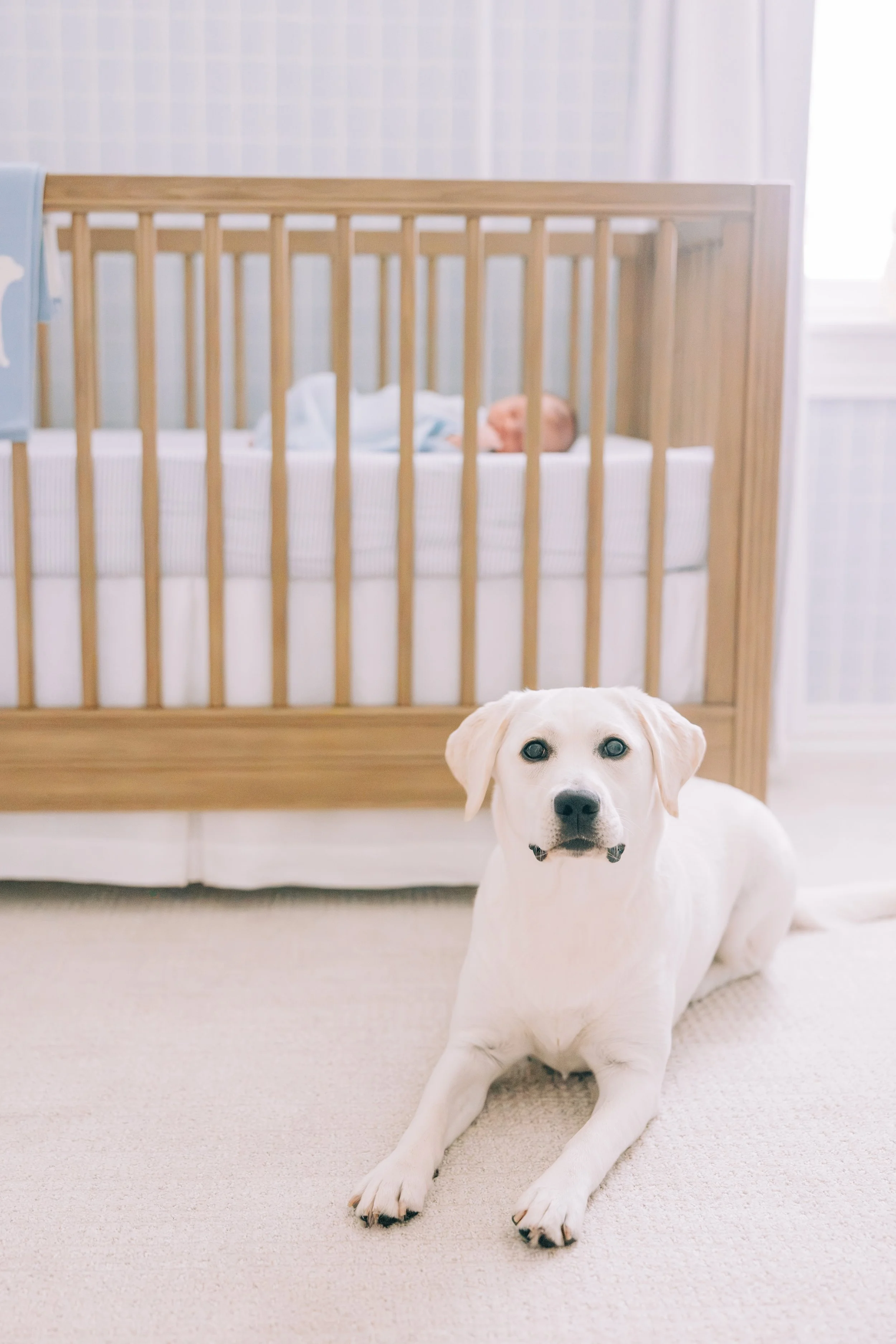 new orleans newborn session