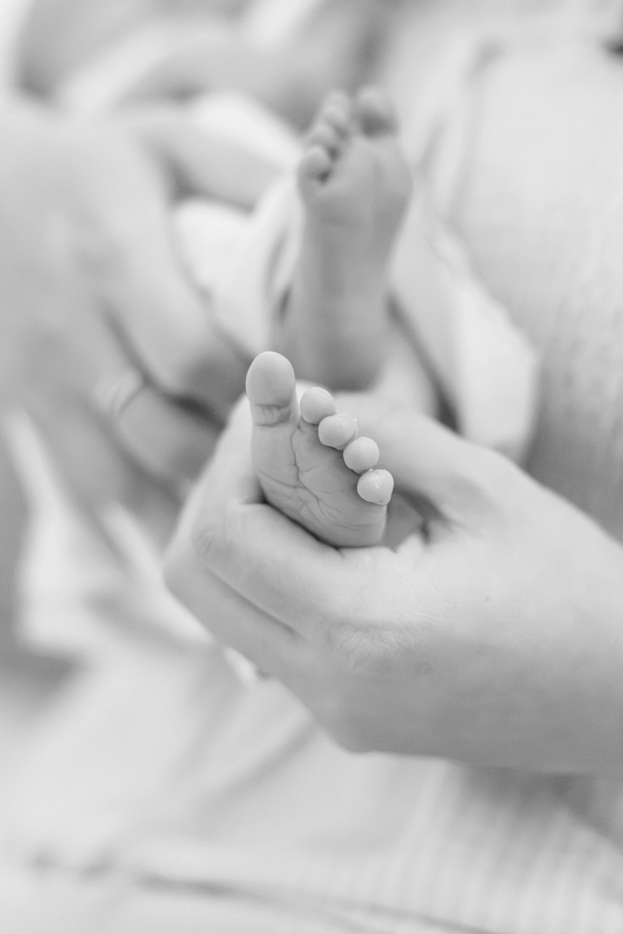 new orleans newborn session