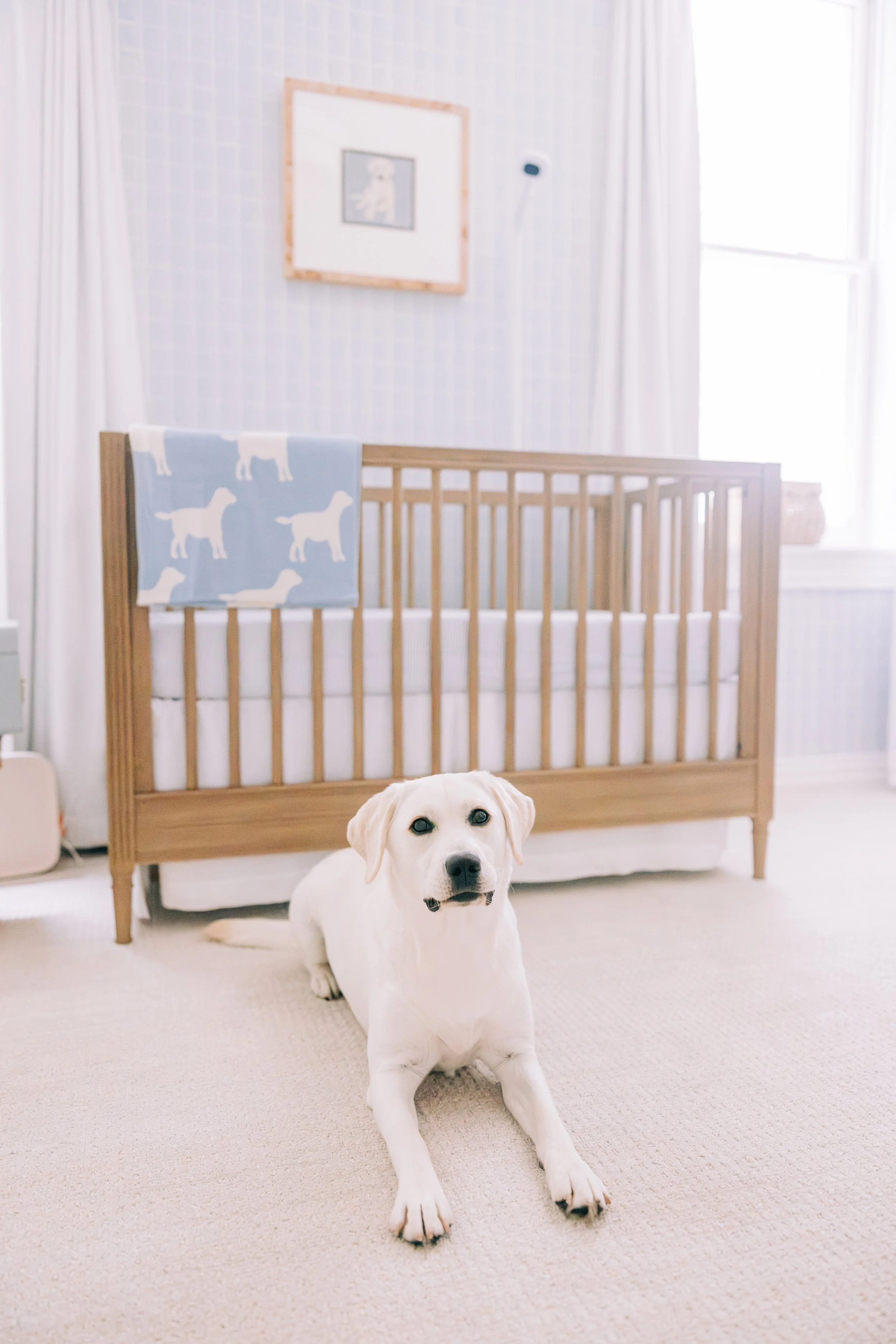 new orleans newborn session