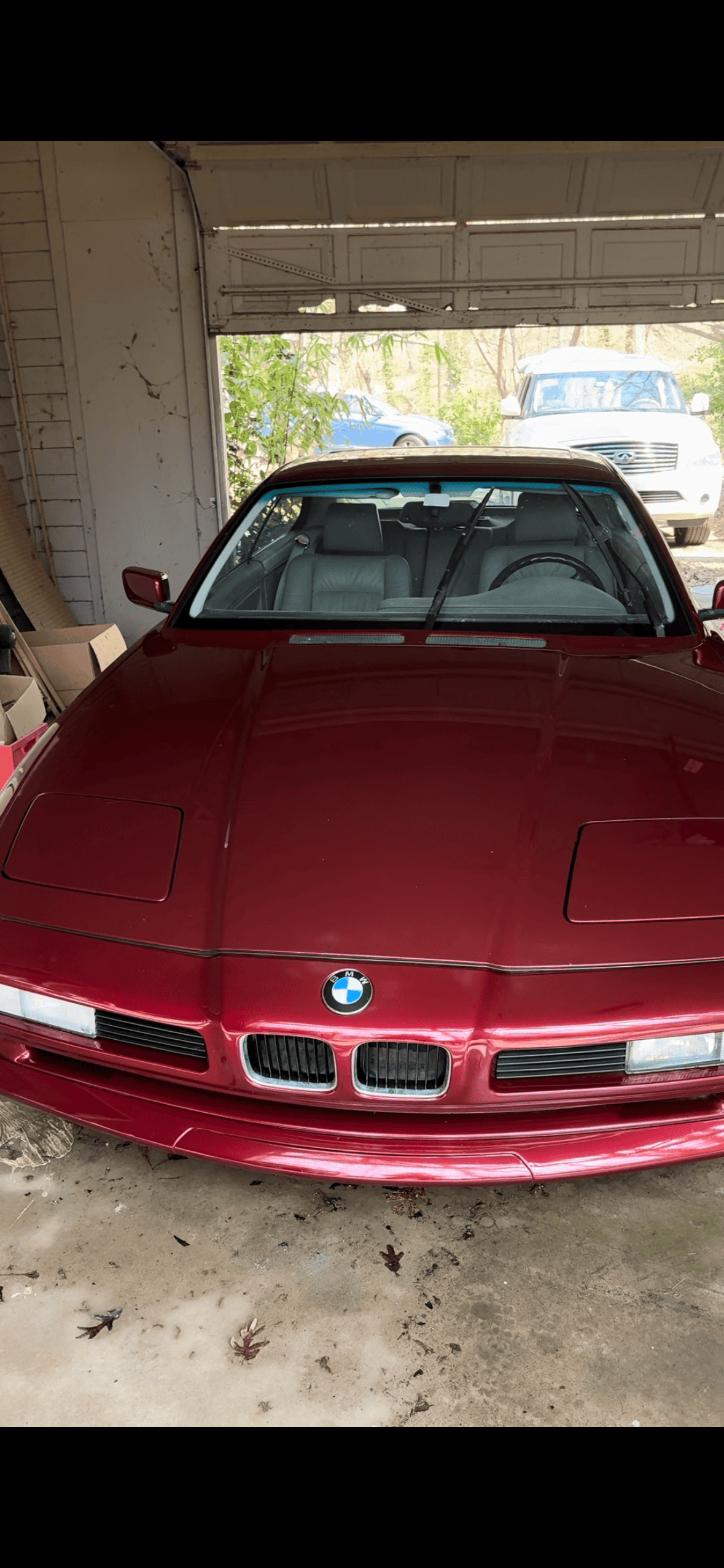 IMG_3893 (1).PNG