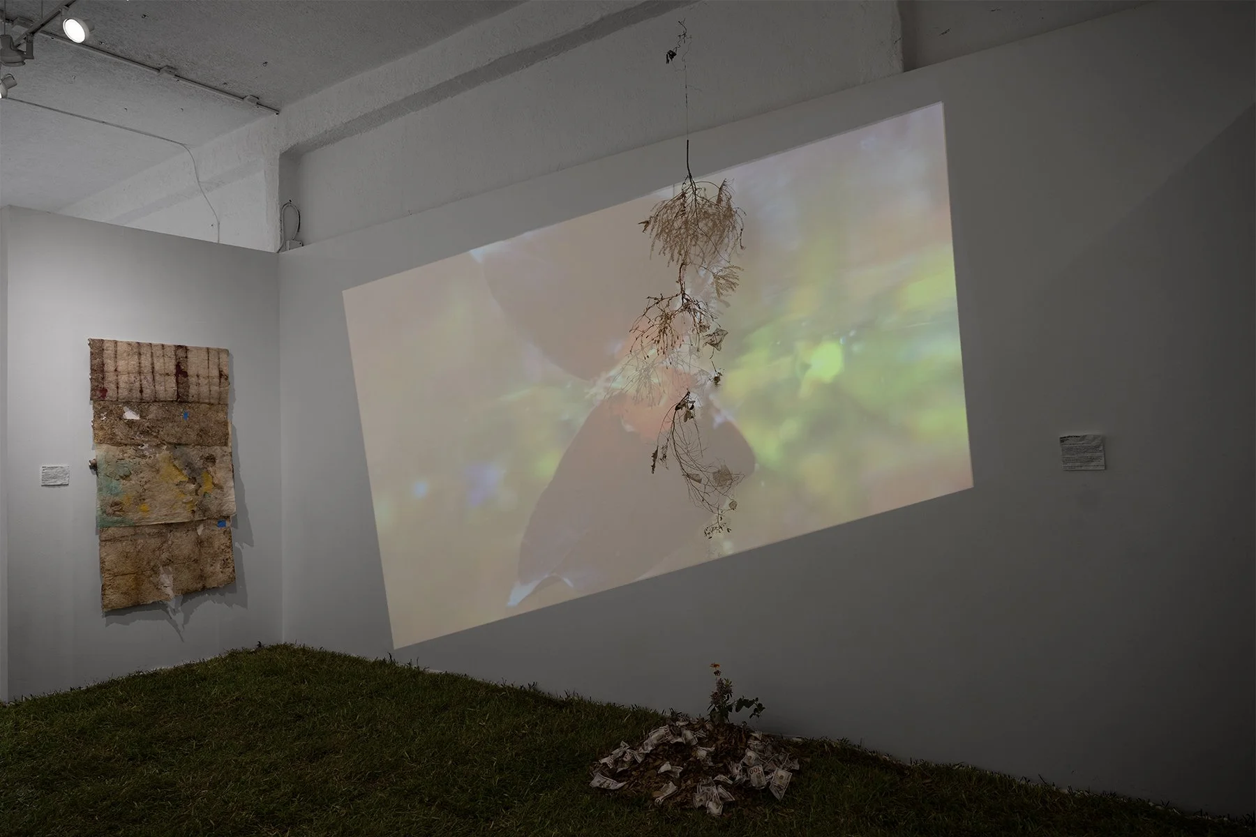 The circle & the circle, with works by member artists Cindee Travis Klement and Sherry Tseng Hill