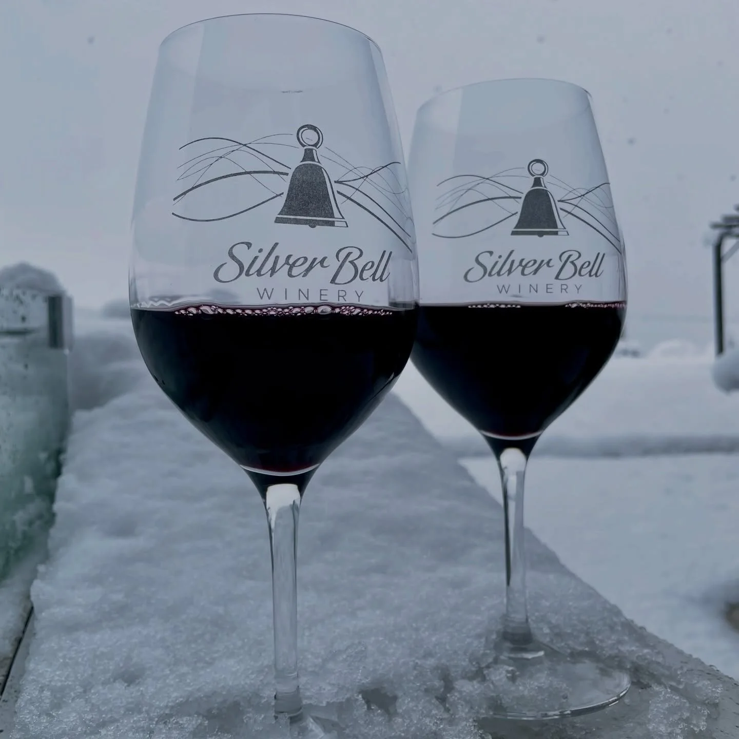 Snow in March?!? 

Gillian has opened the doors and is ready to make your day stress free! 

Roads and parking lot are plowed!! Come enjoy some Silver Bell Wine! 🍷 ❄️ 

#silverbellwinery #whitewine #redwine #lakechelanwinevalley #wawine