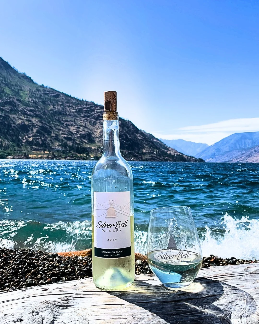 Happy National Sauvignon Blanc Day!!⁠
⁠
If you have any of our 2024 varietal still at home, raise a glass today and enjoy!⁠
⁠
Our 2025 Sauvignon Blanc will be entering the tasting room this summer!⁠
⁠
PC: Gillian⁠
⁠
#lakechelanwinevalley #silverbellw