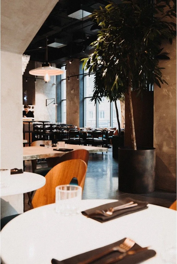 Pasted Graphic 5.jpg