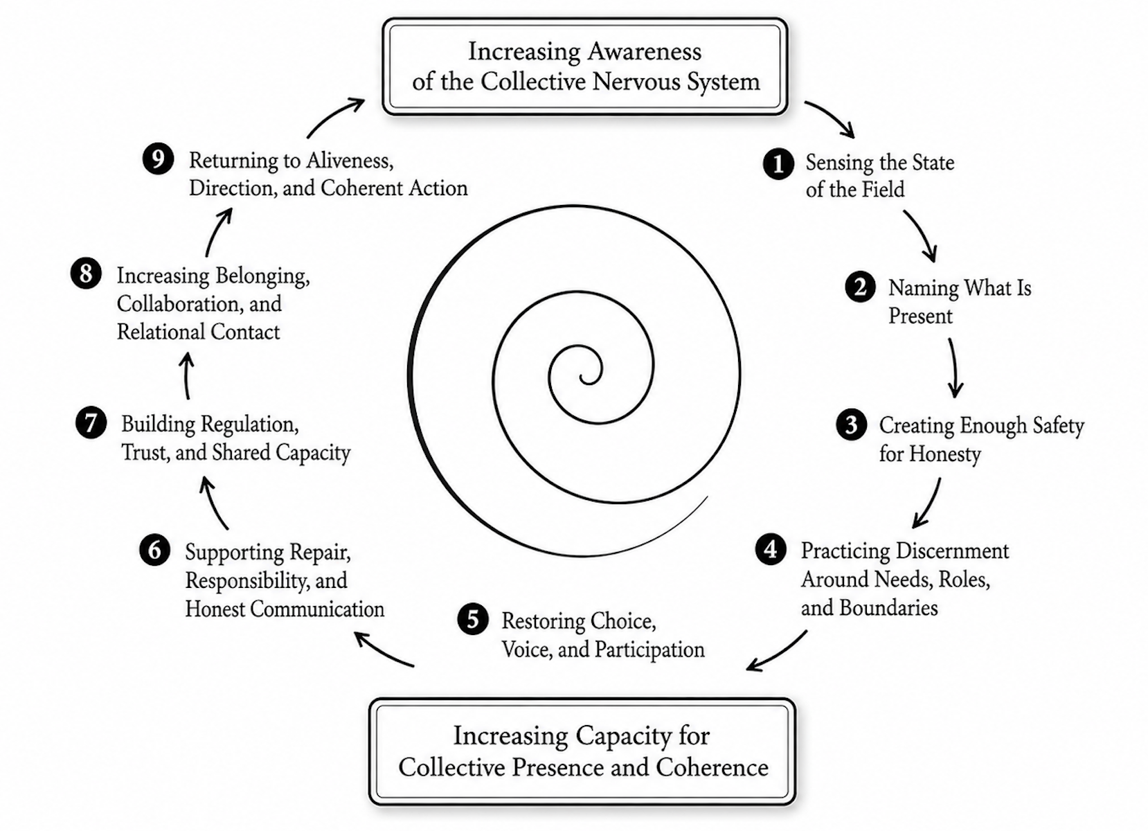 A circular diagram with ninth step at the top and eighth step toward the left, illustrating increasing awareness of the collective nervous system. Each step is numbered and includes descriptions: 1) Sensing the state of the field, 2) Naming what is present, 3) Creating enough safety for honesty, 4) Practicing discernment around needs, roles, and boundaries, 5) Restoring choice, voice, and participation, 6) Supporting repair, responsibility, and honest communication, 7) Building regulation, trust, and shared capacity, 8) Increasing belonging, collaboration, and relational contact, 9) Returning to aliveness, direction, and coherent action.