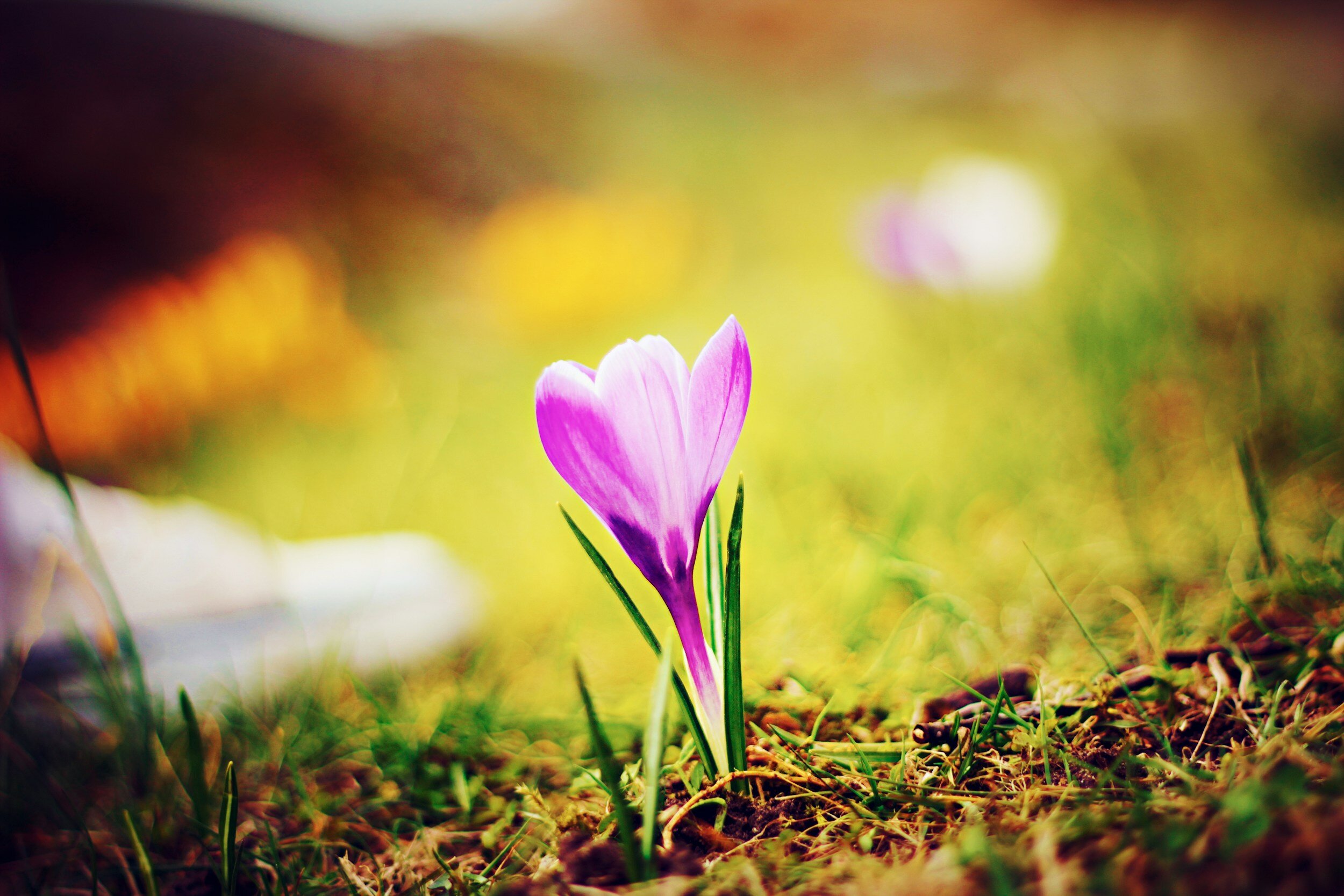 Why Being a Mom is Amazing through the Ups and Downs