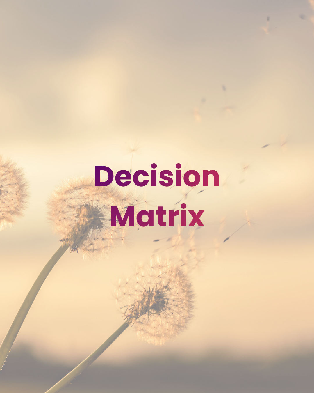 Interactive Decision Matrix Worksheet