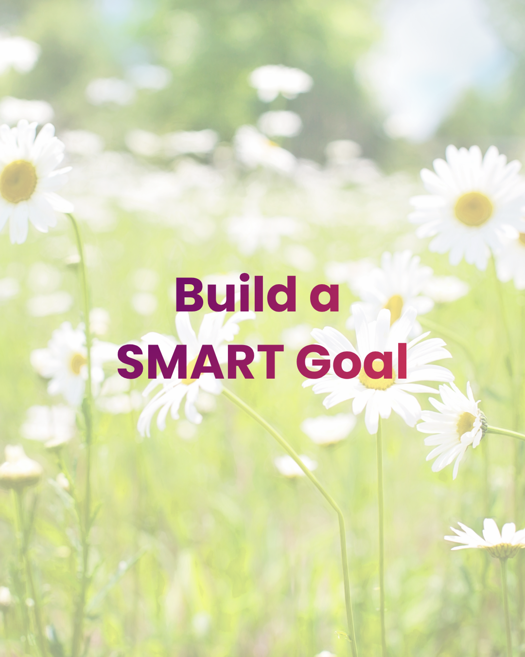 Build a SMART Goal
