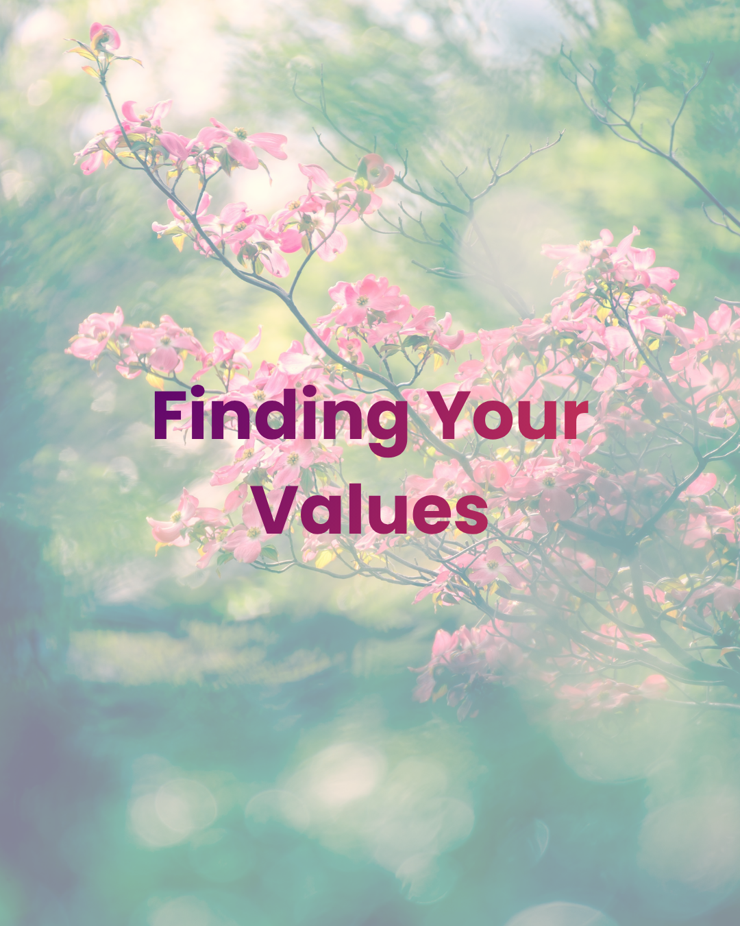 Finding Your Values