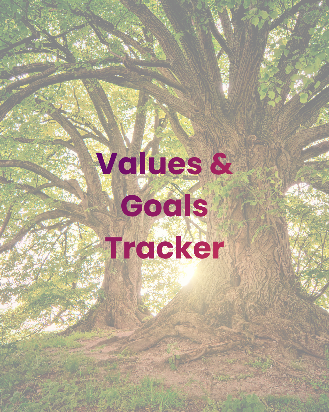 Values &amp; Goals Tracker